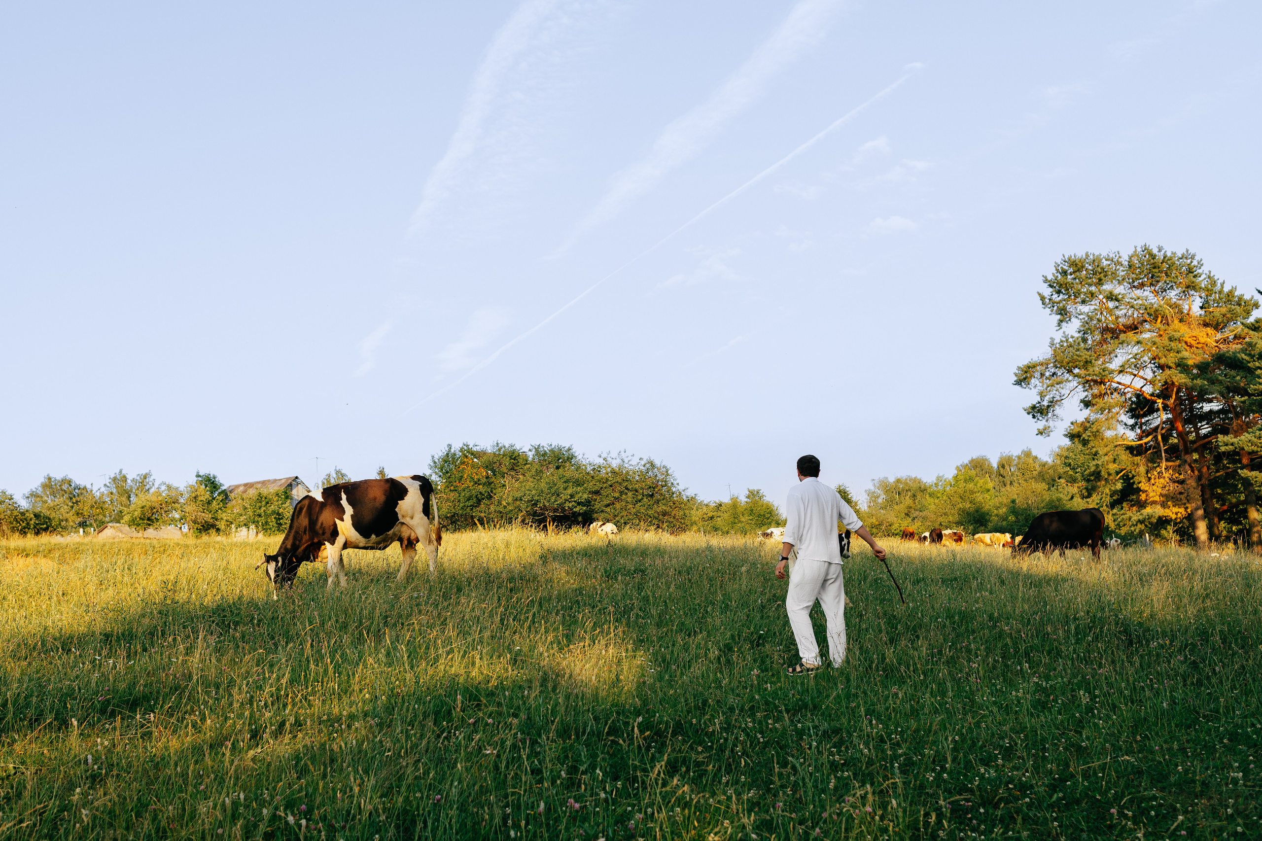 Летние мгновения. Свадебный и студийный фотограф в Нижнем Новгороде