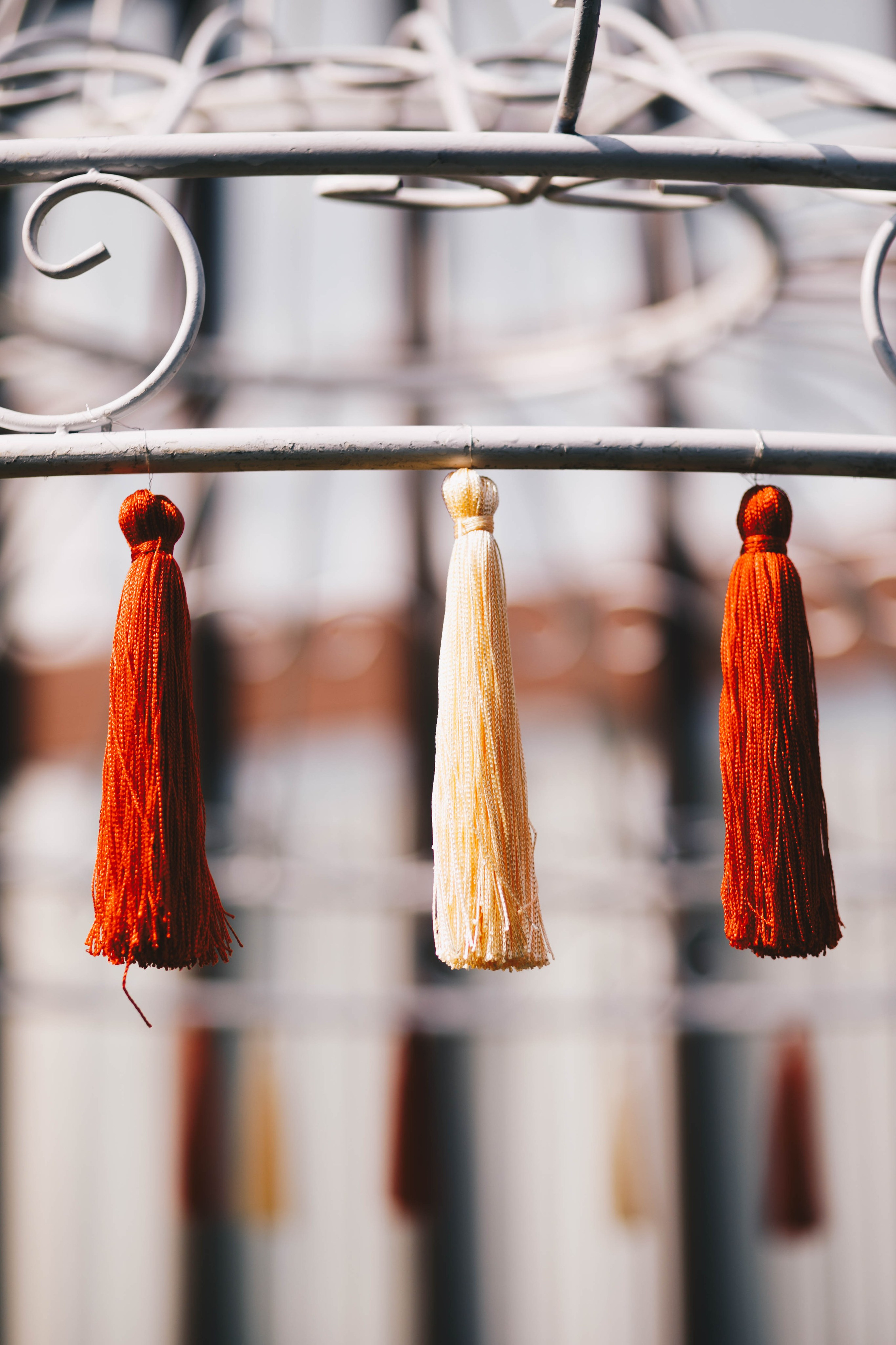 ВИВАХА. Фотограф Лебедева Наталья