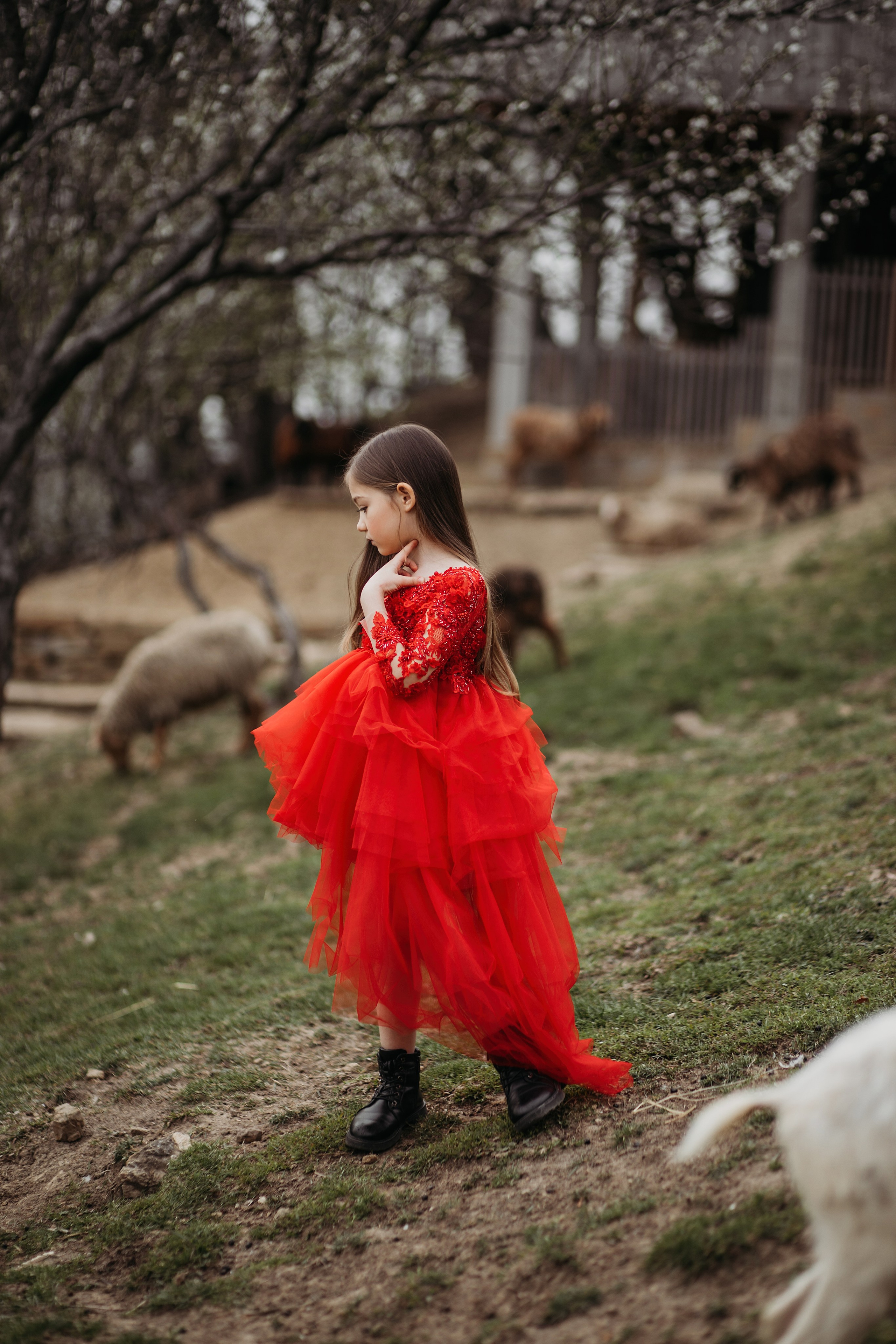 Ферма Экзархо. Фотограф Сочи Татьяна Зорина