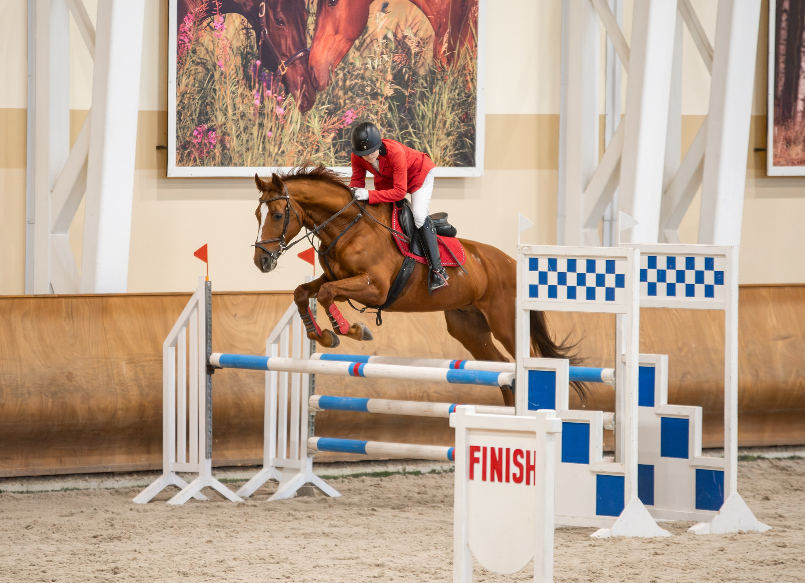 Репортажная съемка конных мероприятий. Конный фотограф из Москвы Ирина Бондаркова