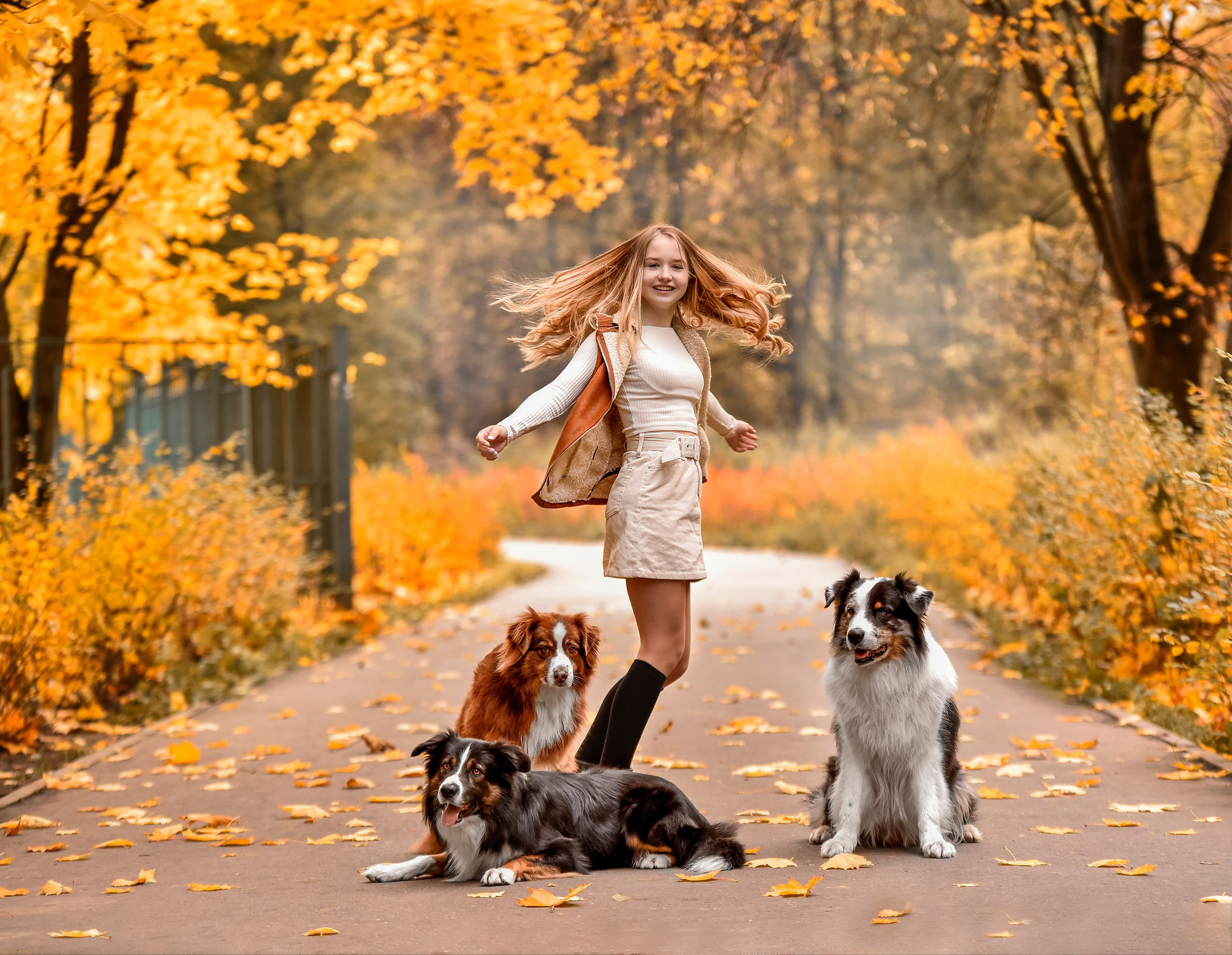 Фотопрогулка, семейная съемка, фотосессия с друзьями, фотосессия с питомцем, собака