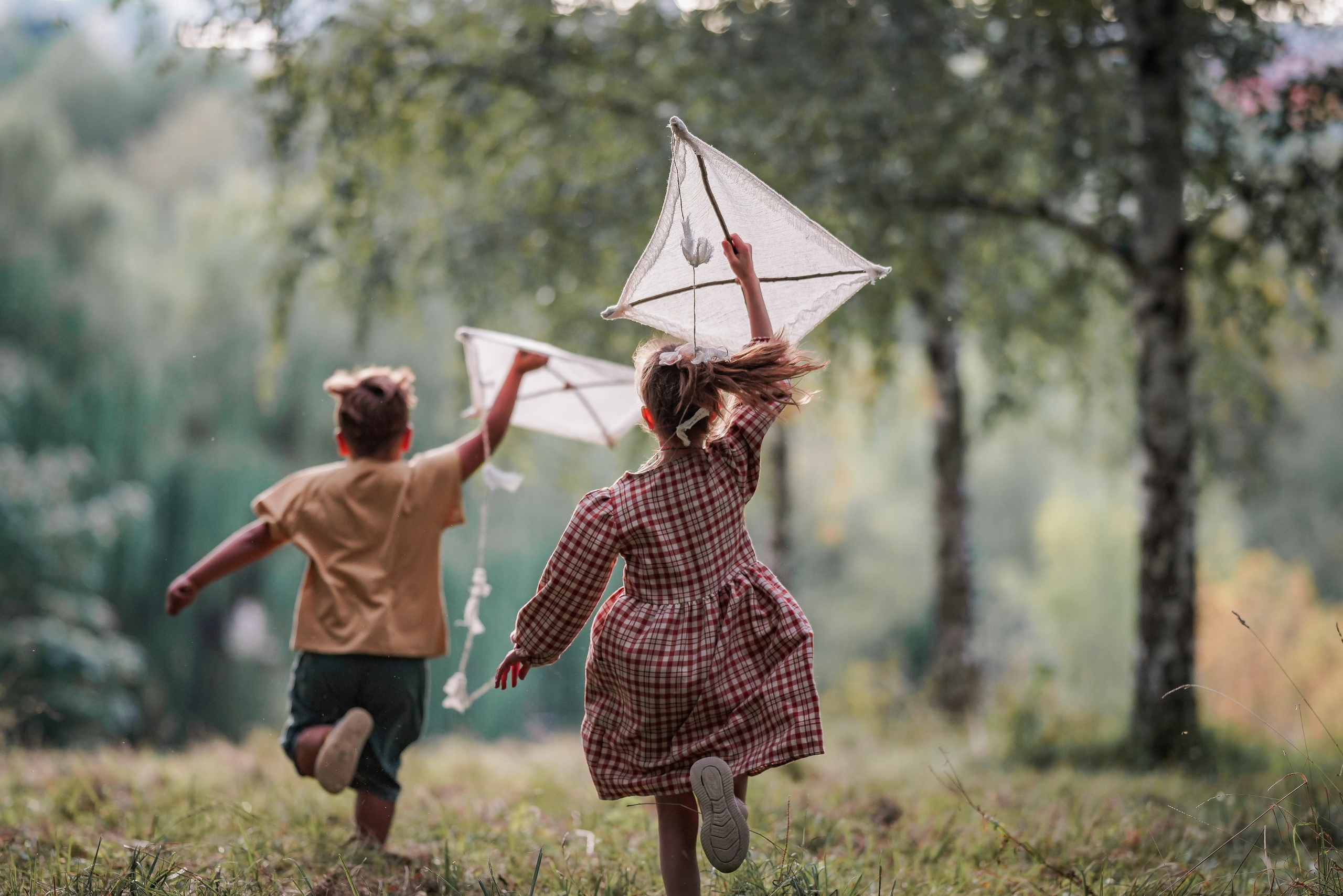 Воздушный змей. Семейный фотограф Ефремова Виктория