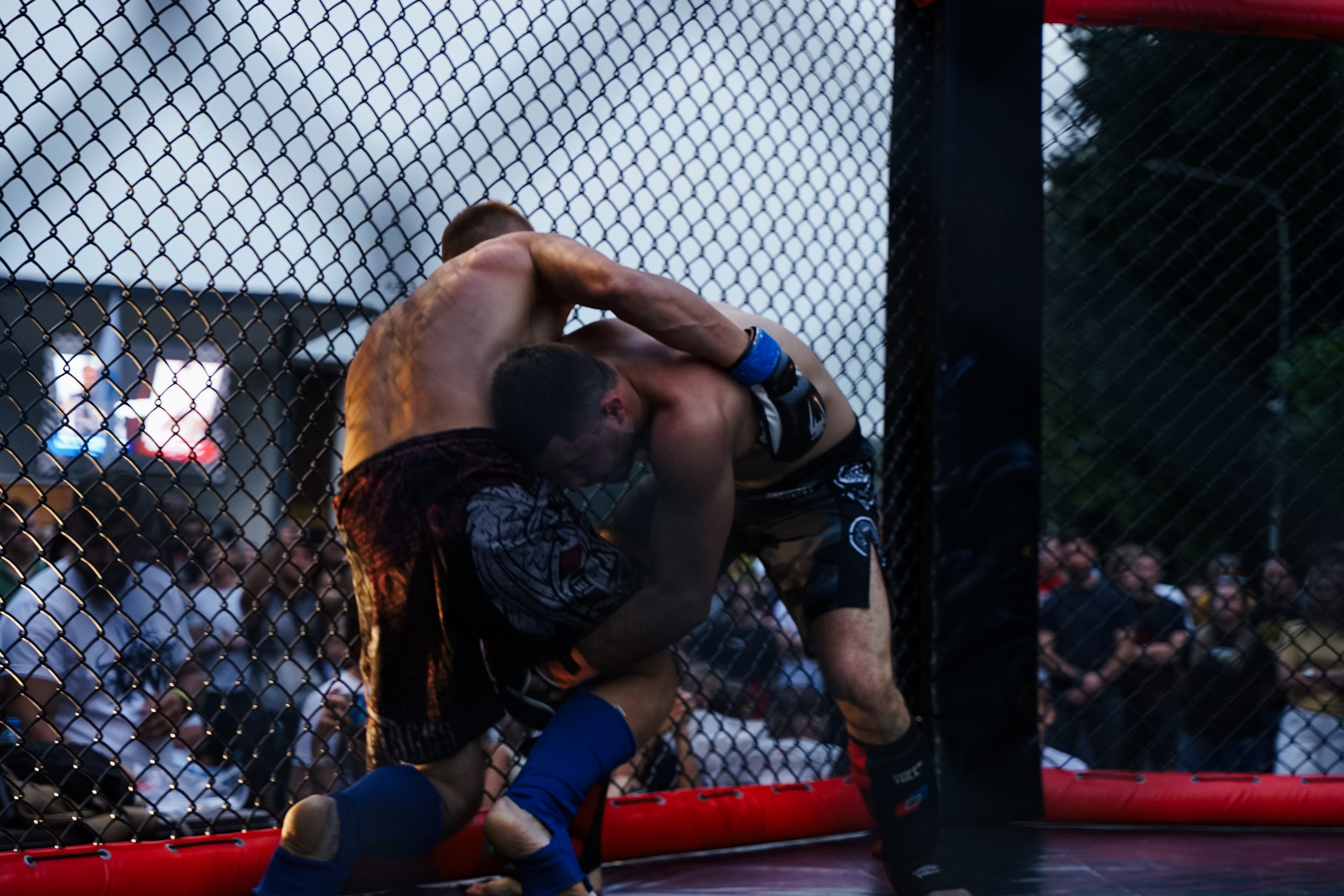 Вечер боев в ЦПКиО. Фотограф Надежда Погребняк | Рязань | Москва