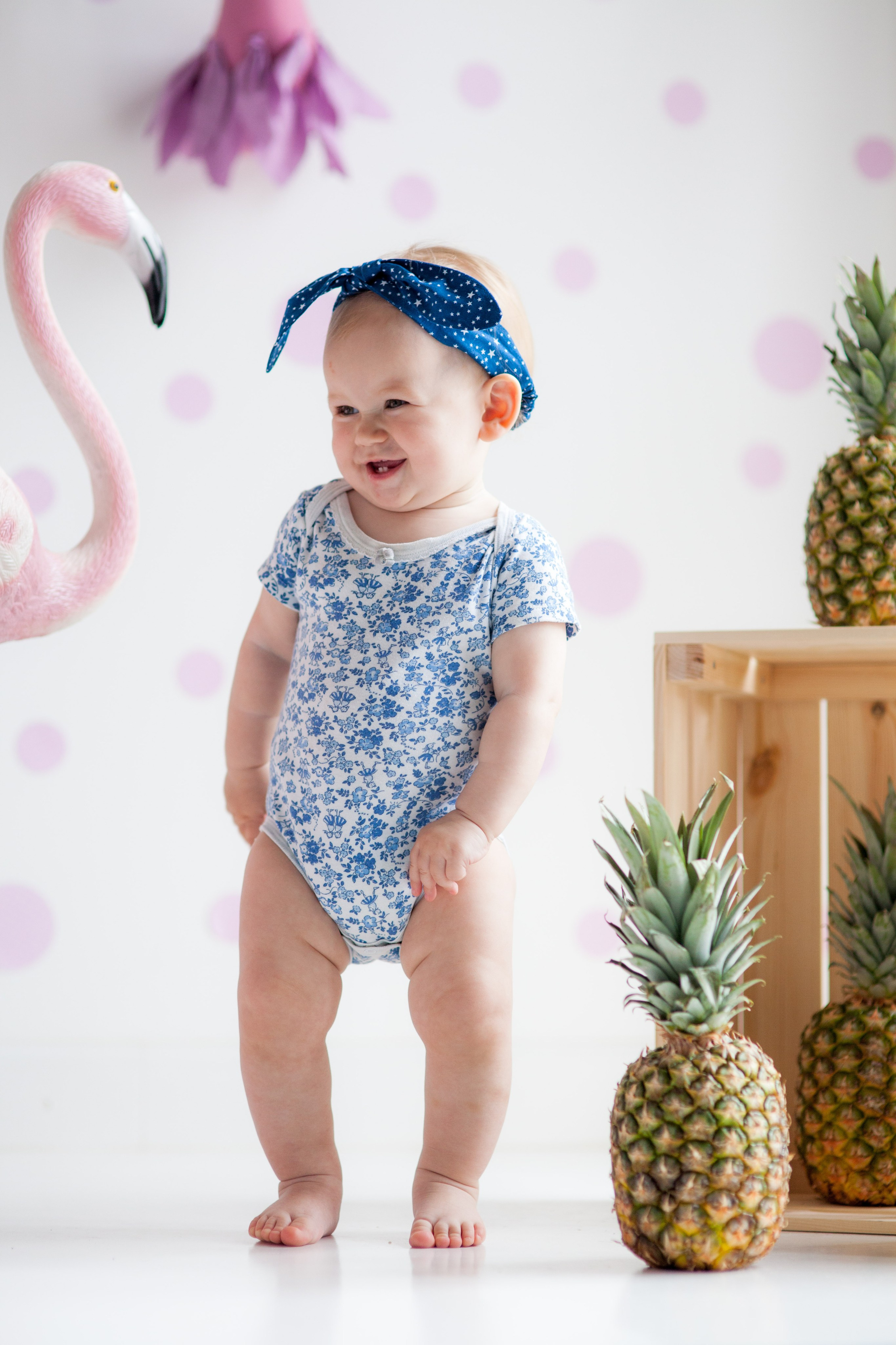 Твой фотограф — Полосатый кот