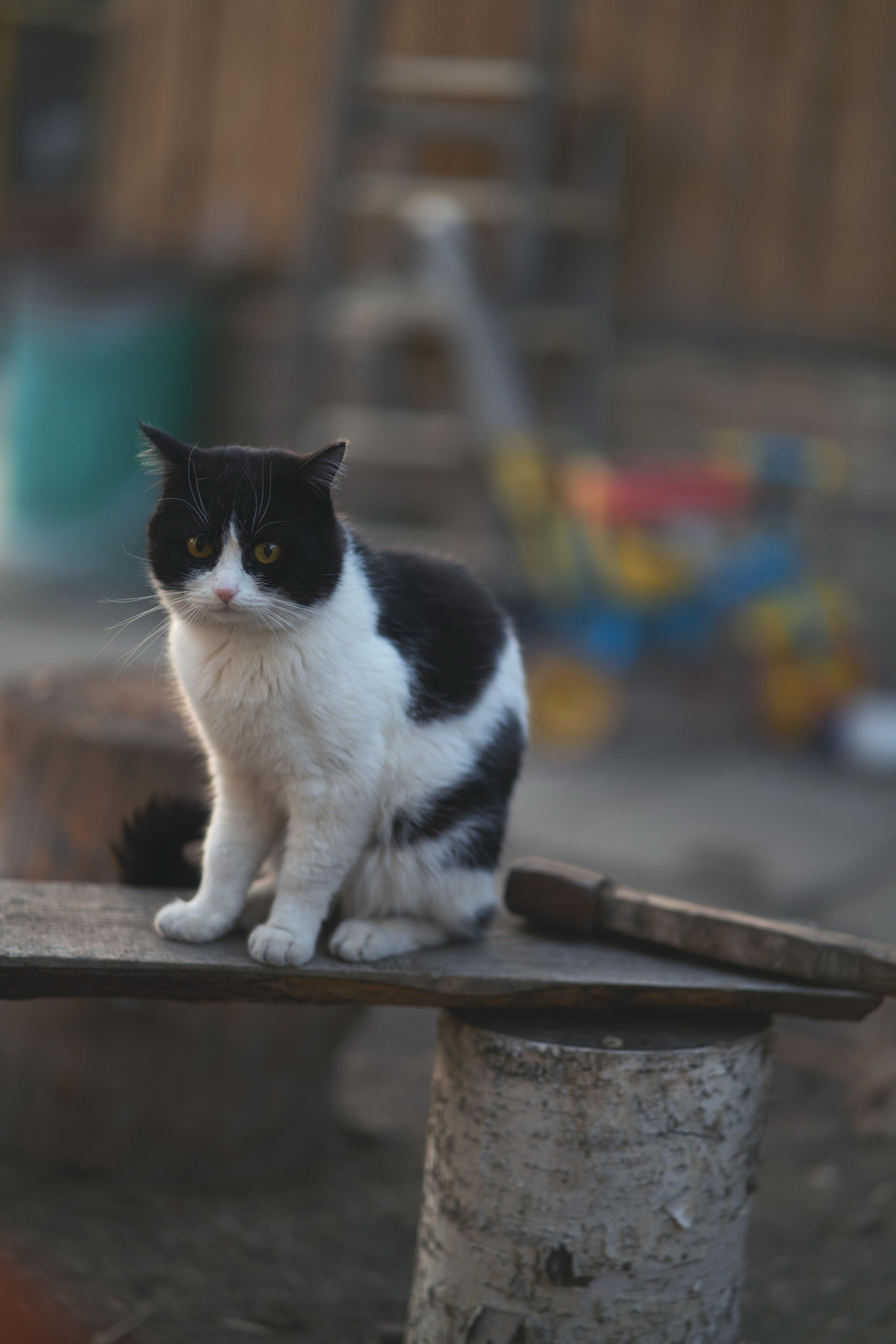 Деревня. Фотограф Ангарск Иркутск Ксения Король