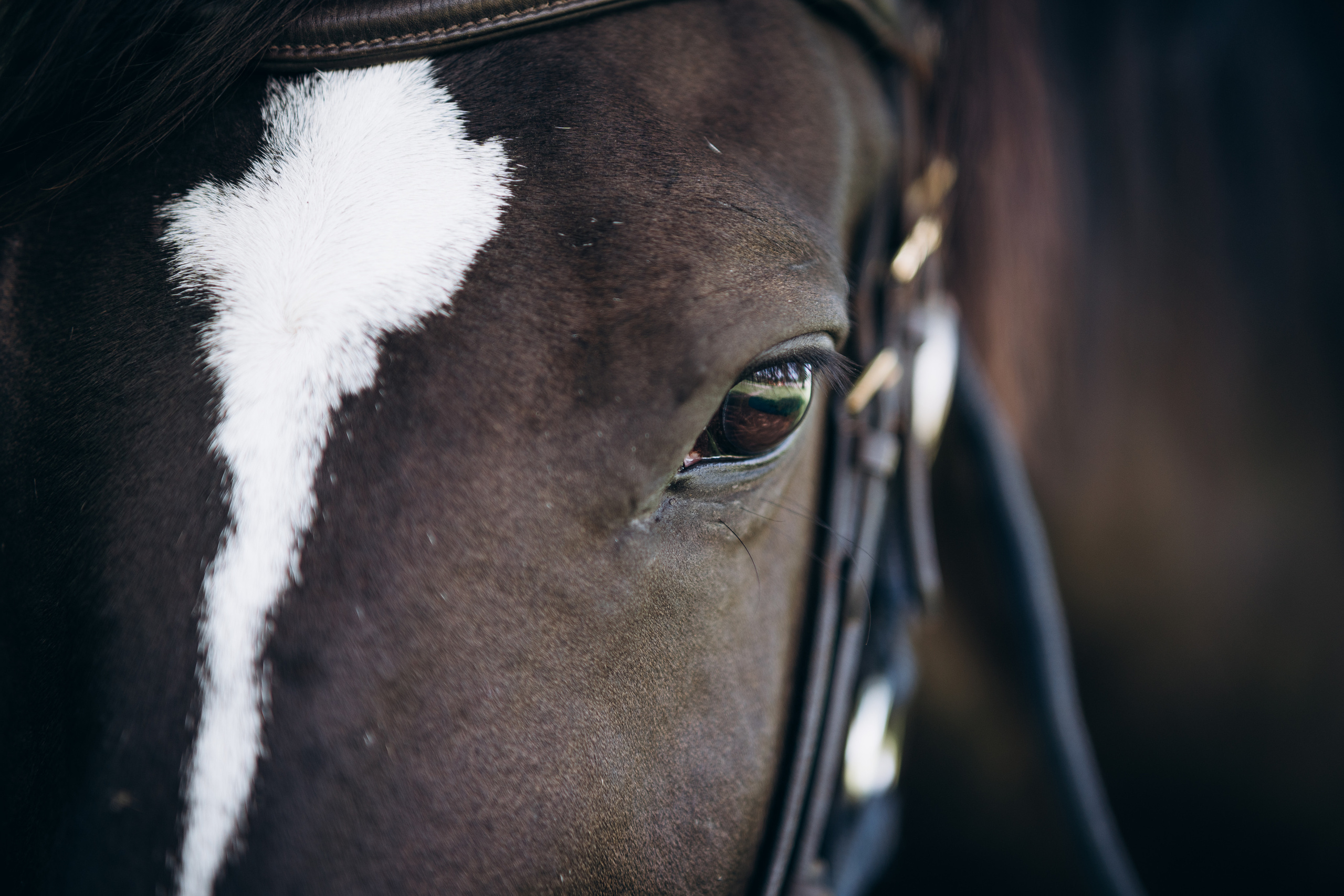 Мария и Руслан. Фотограф Ангарск Иркутск Ксения Король