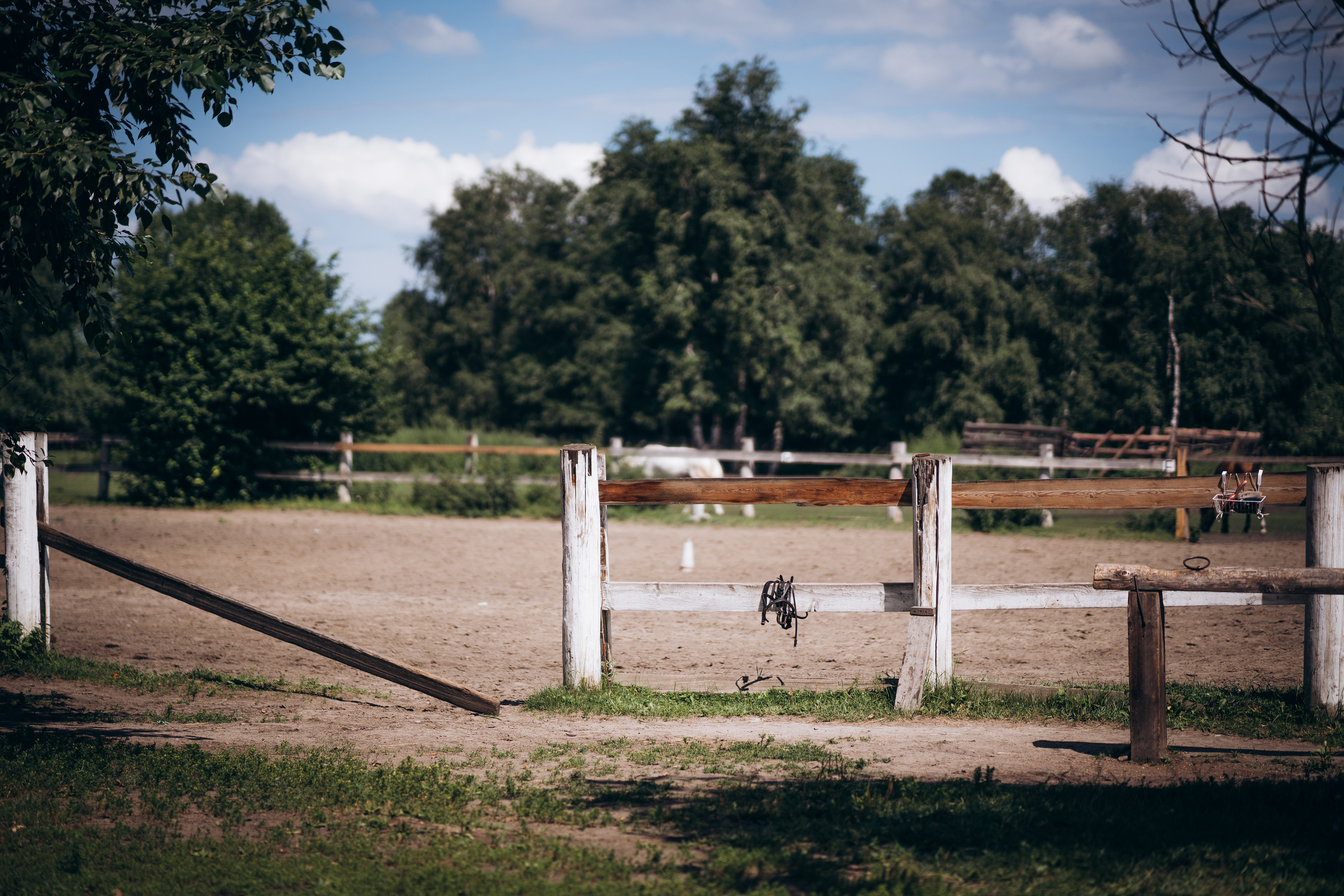 Мария и Руслан. Фотограф Ангарск Иркутск Ксения Король