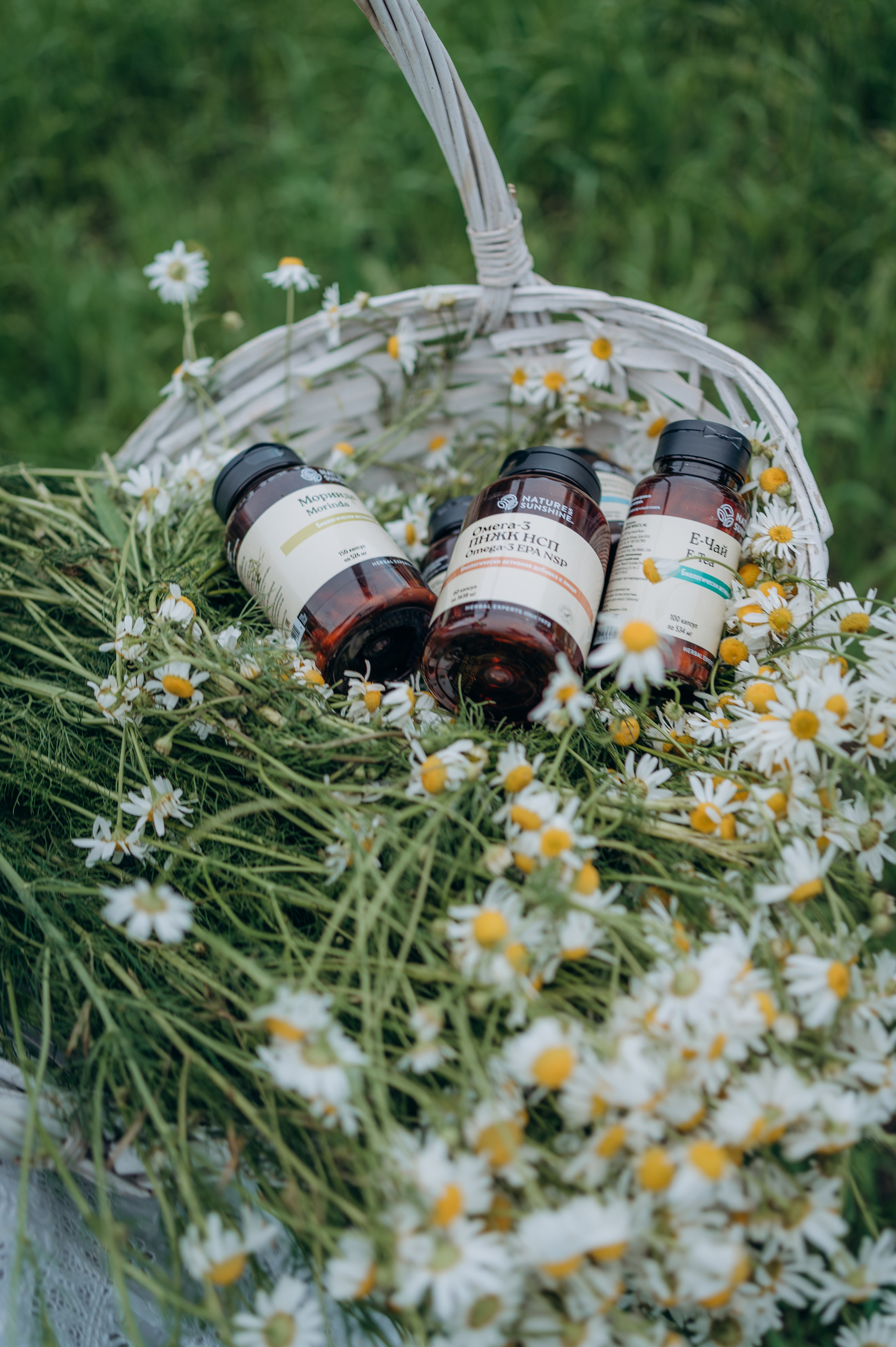 Ромашковое настроение. Фотограф Ангарск Иркутск Ксения Король