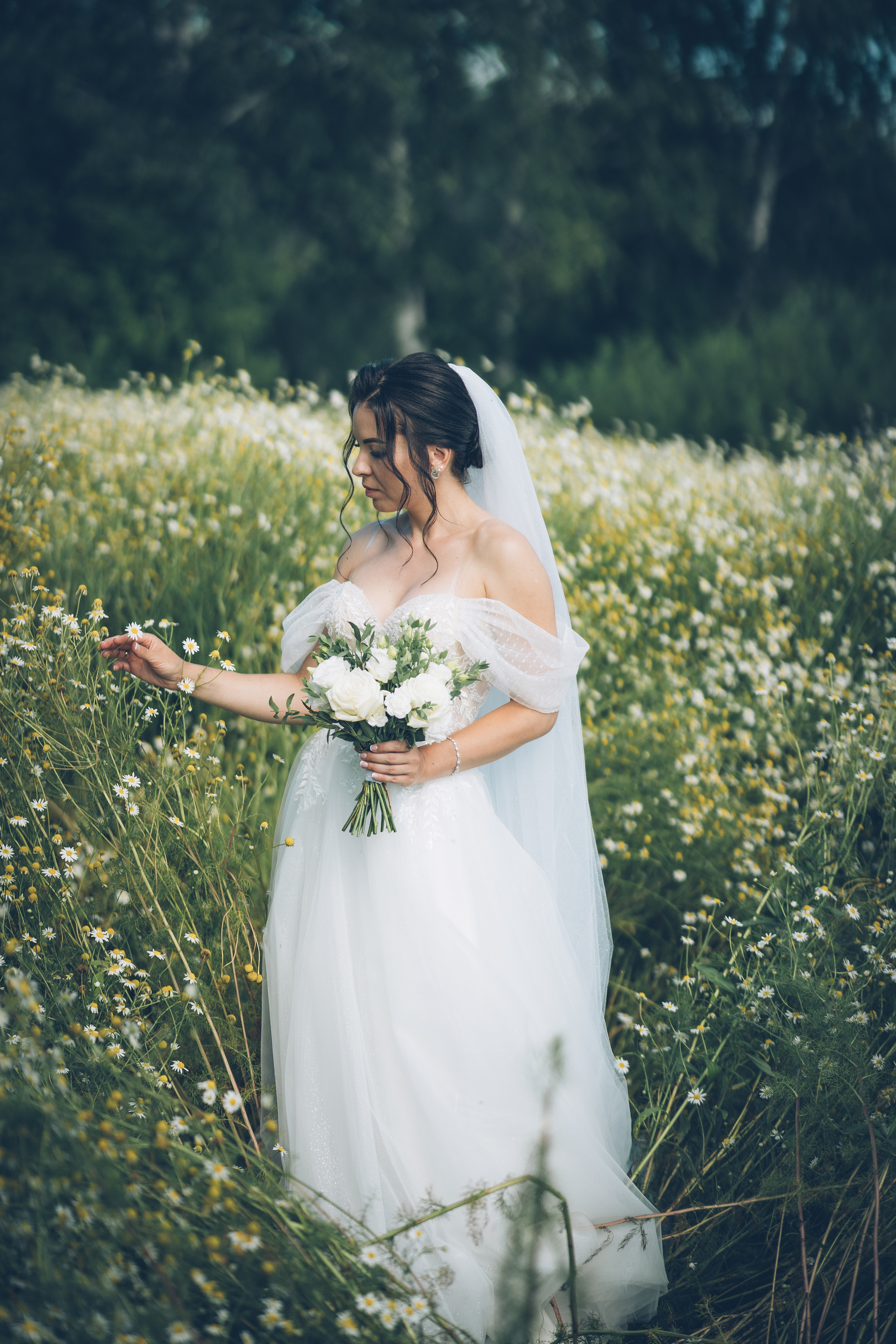 Ромашковое настроение. Фотограф Ангарск Иркутск Ксения Король