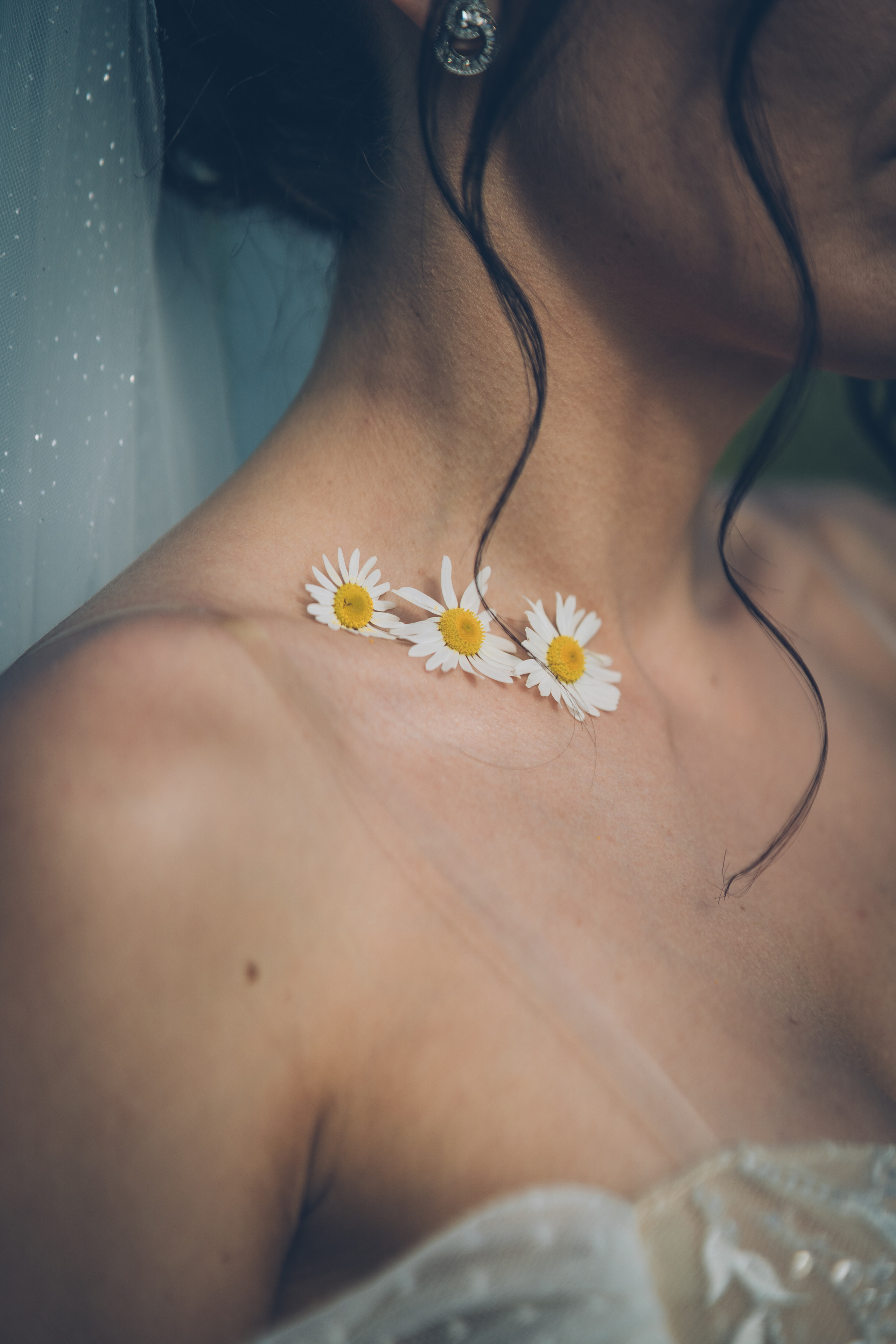 Ромашковое настроение. Фотограф Ангарск Иркутск Ксения Король