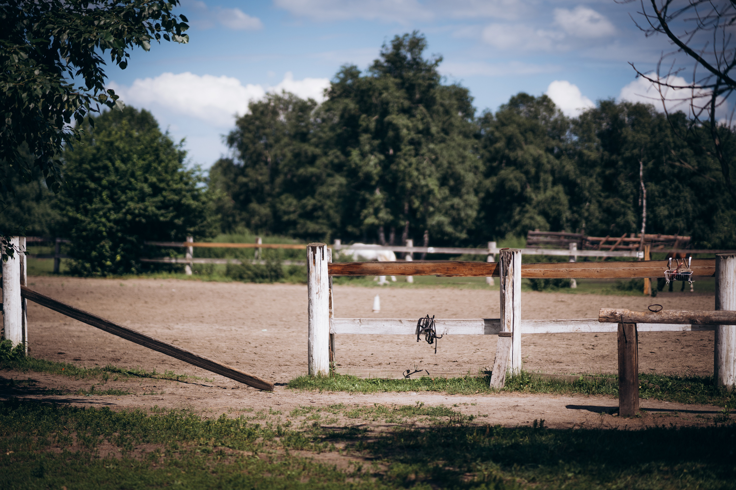 Мария и Руслан. Фотограф Ангарск Иркутск Ксения Король
