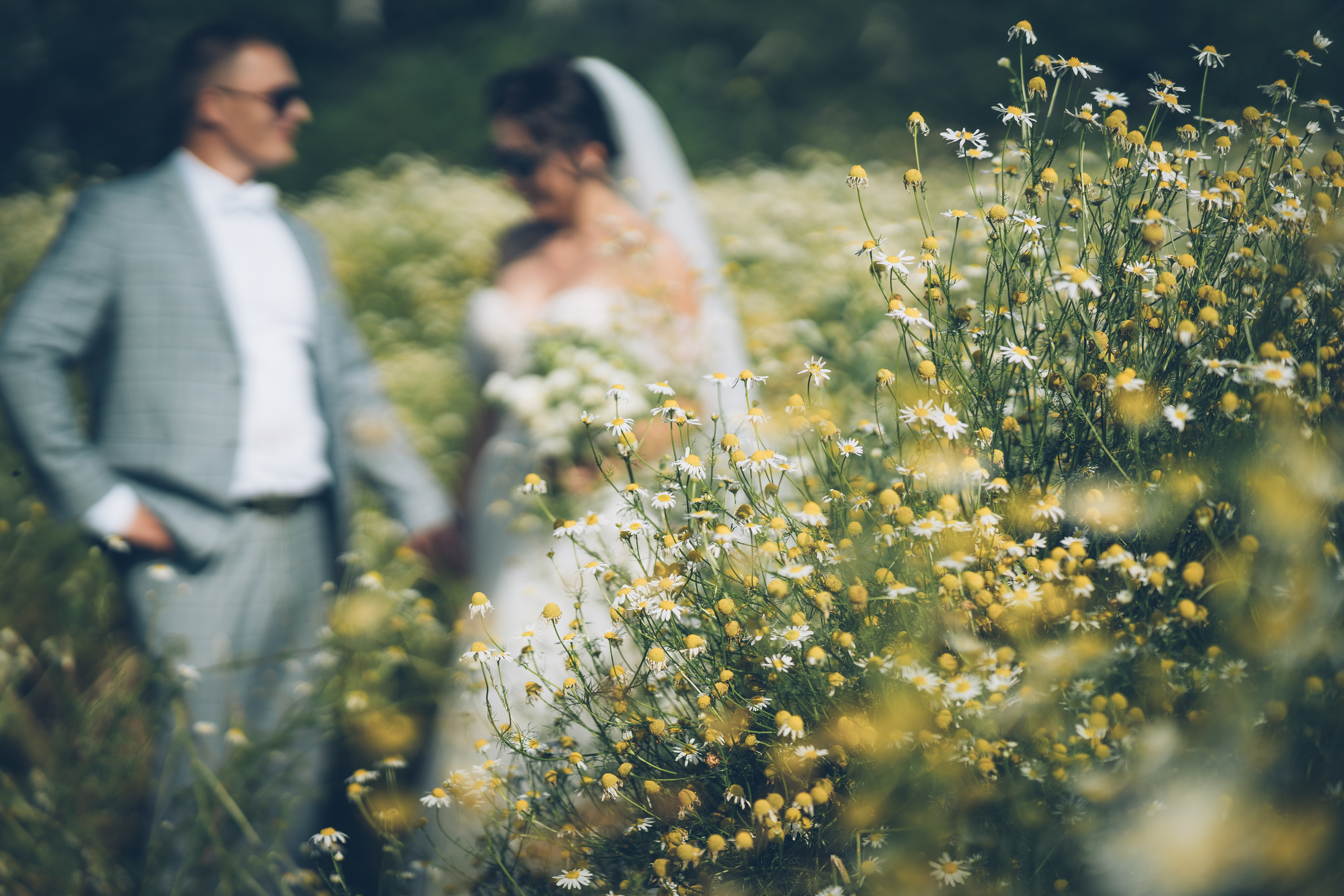 Ромашковое настроение. Фотограф Ангарск Иркутск Ксения Король