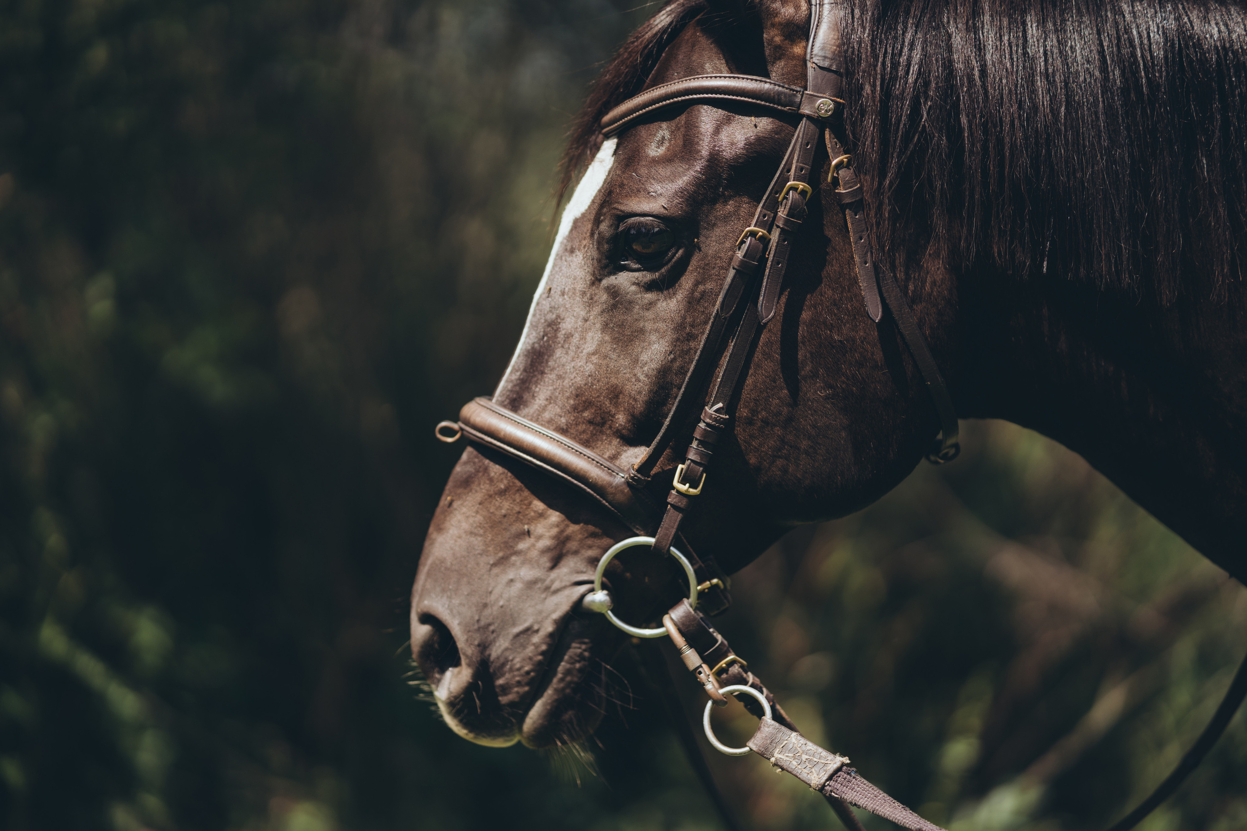 Мария и Руслан. Фотограф Ангарск Иркутск Ксения Король