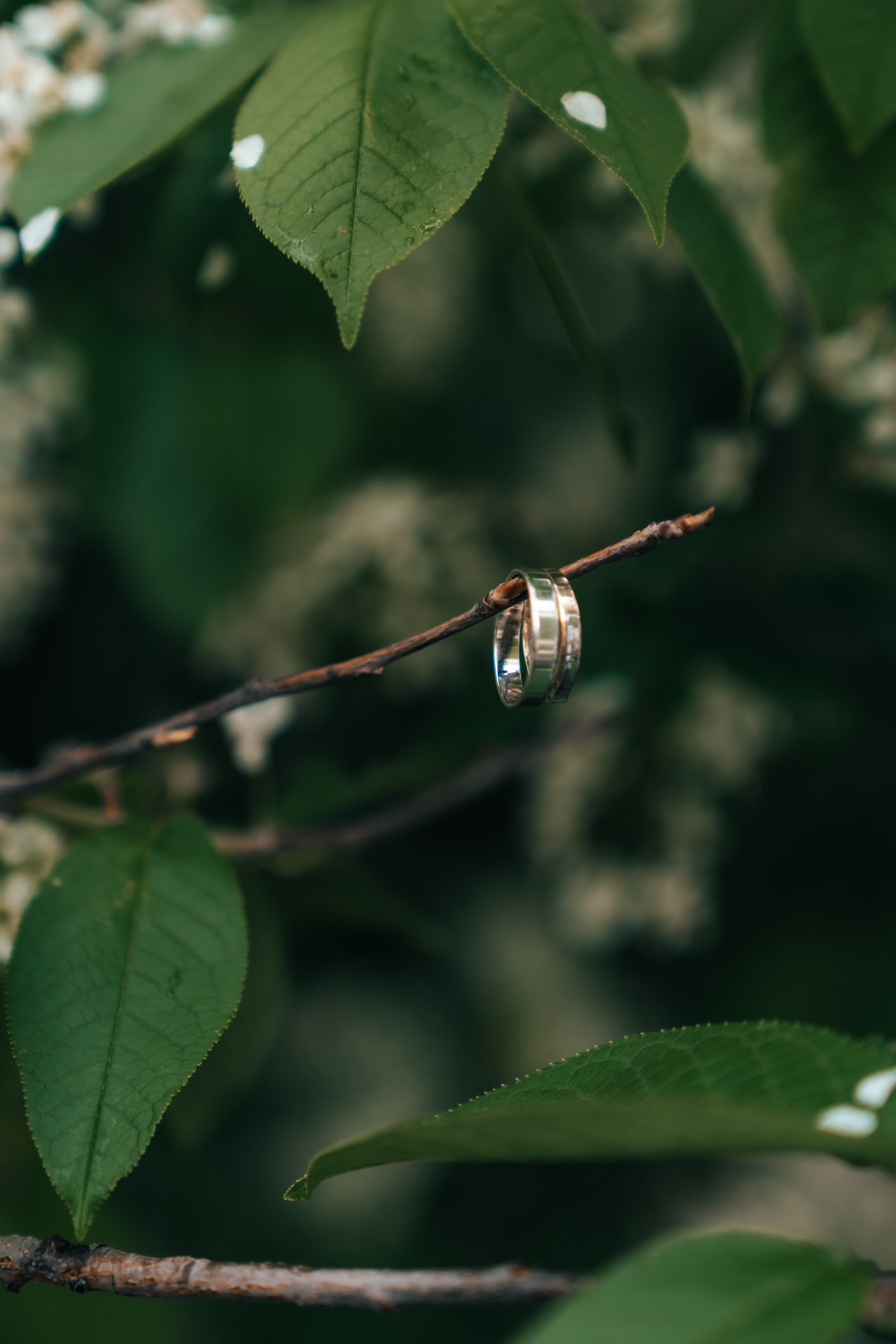 Анна и Ян. Фотограф Ангарск Иркутск Ксения Король