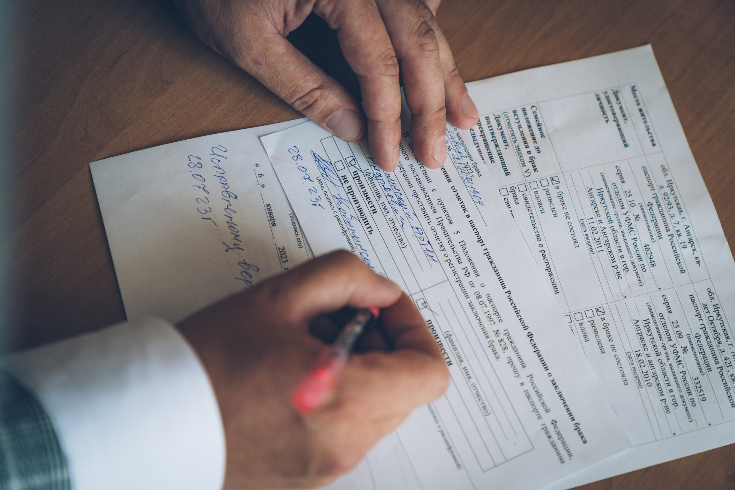 Ромашковое настроение. Фотограф Ангарск Иркутск Ксения Король