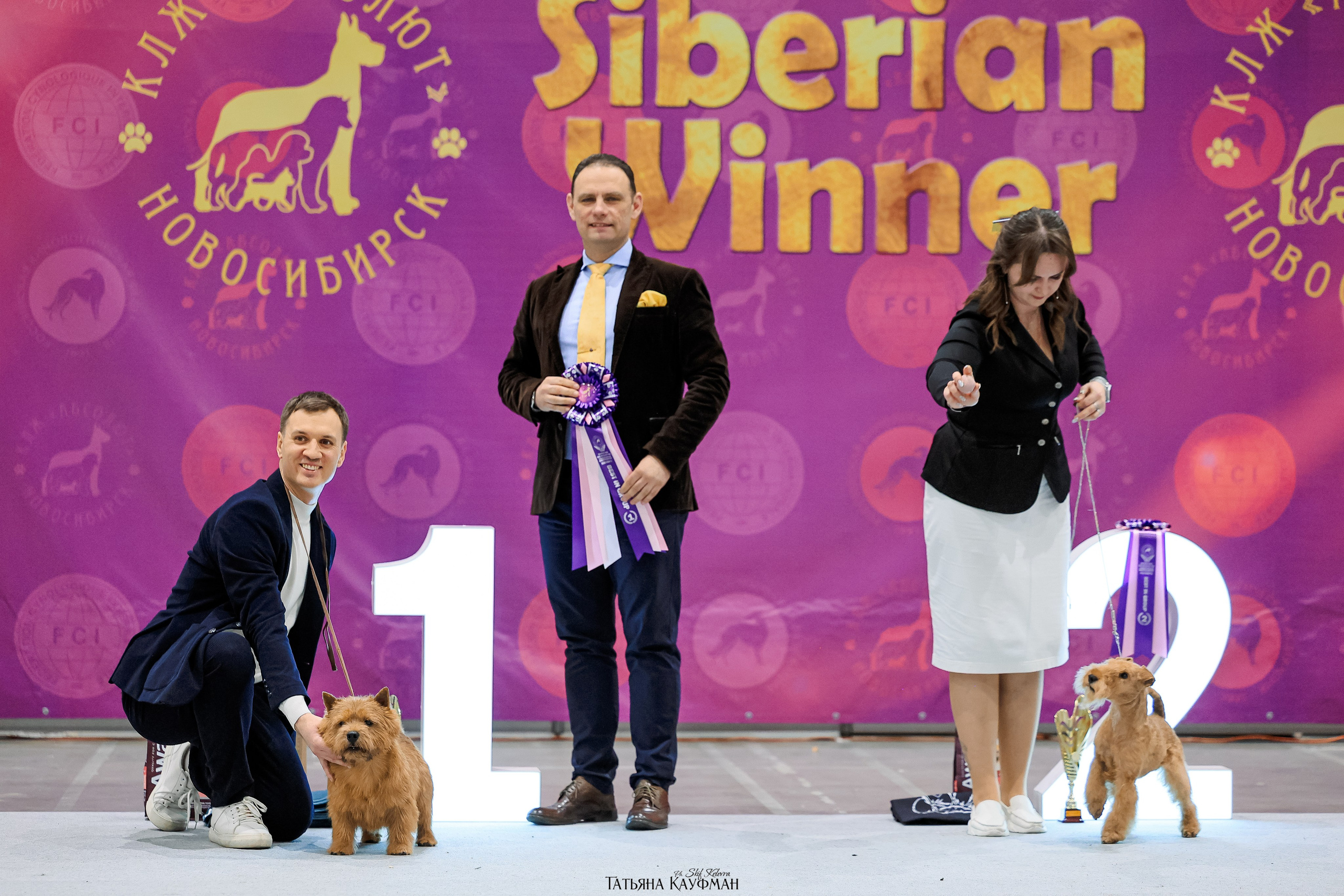 28-29.03.2026 Рейтинговая выставка в Новосибирске. Фотограф Анималист из Новосибирска Татьяна Кауфман