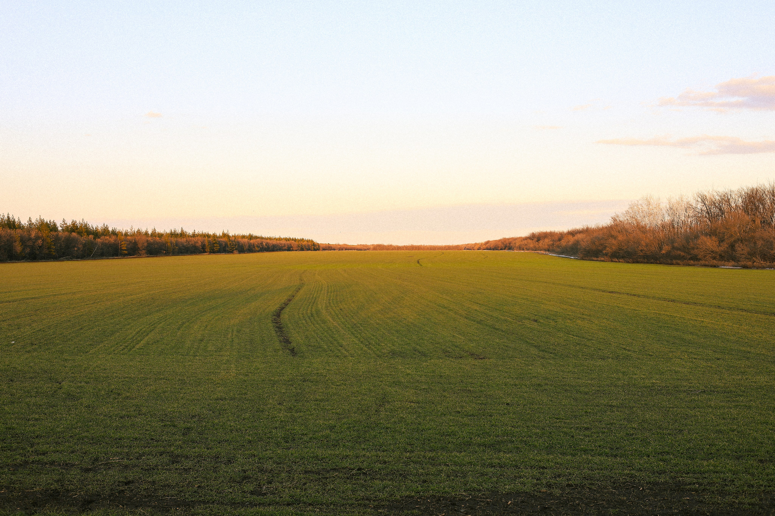 Закатная съемка. Мания, портретный фотограф в городе Оренбург