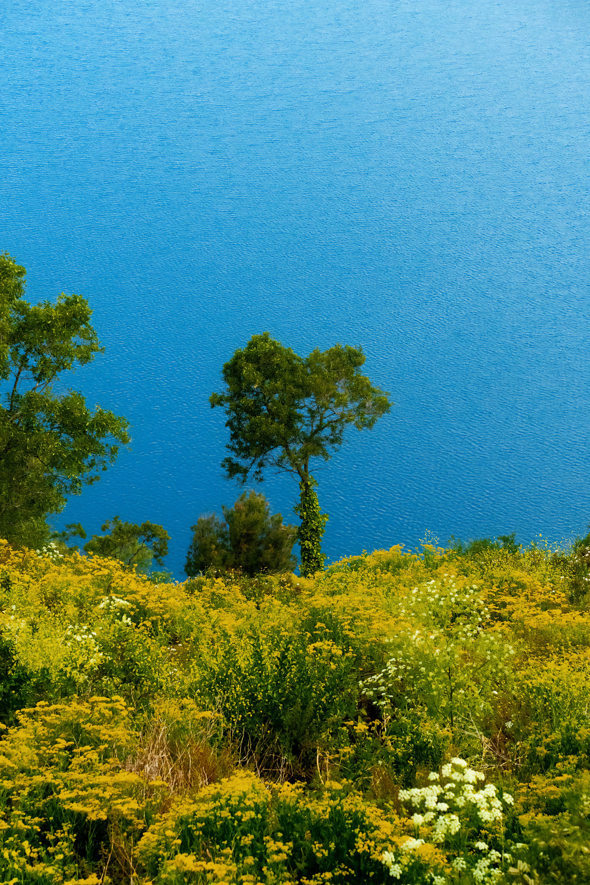 Австралия. Фотограф в Хабаровске. Фотография за 24 часа