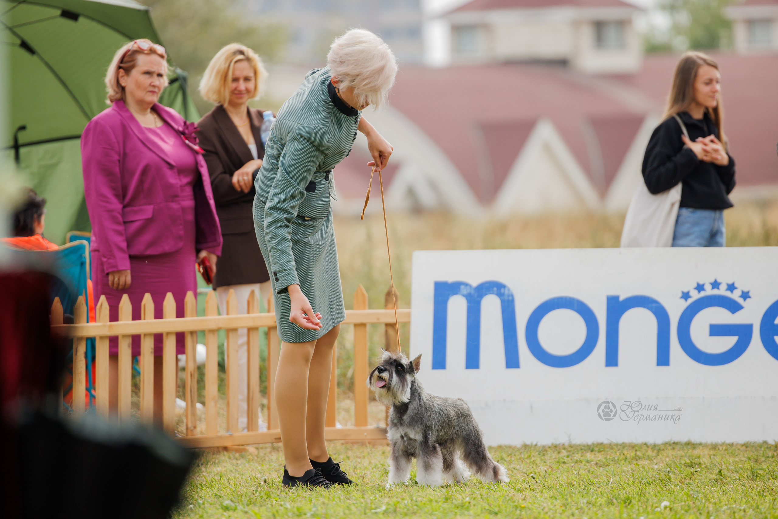 Армения,Ереван 3хCACIB 15-17.10.2024. Фотограф-анималист Юлия Германика