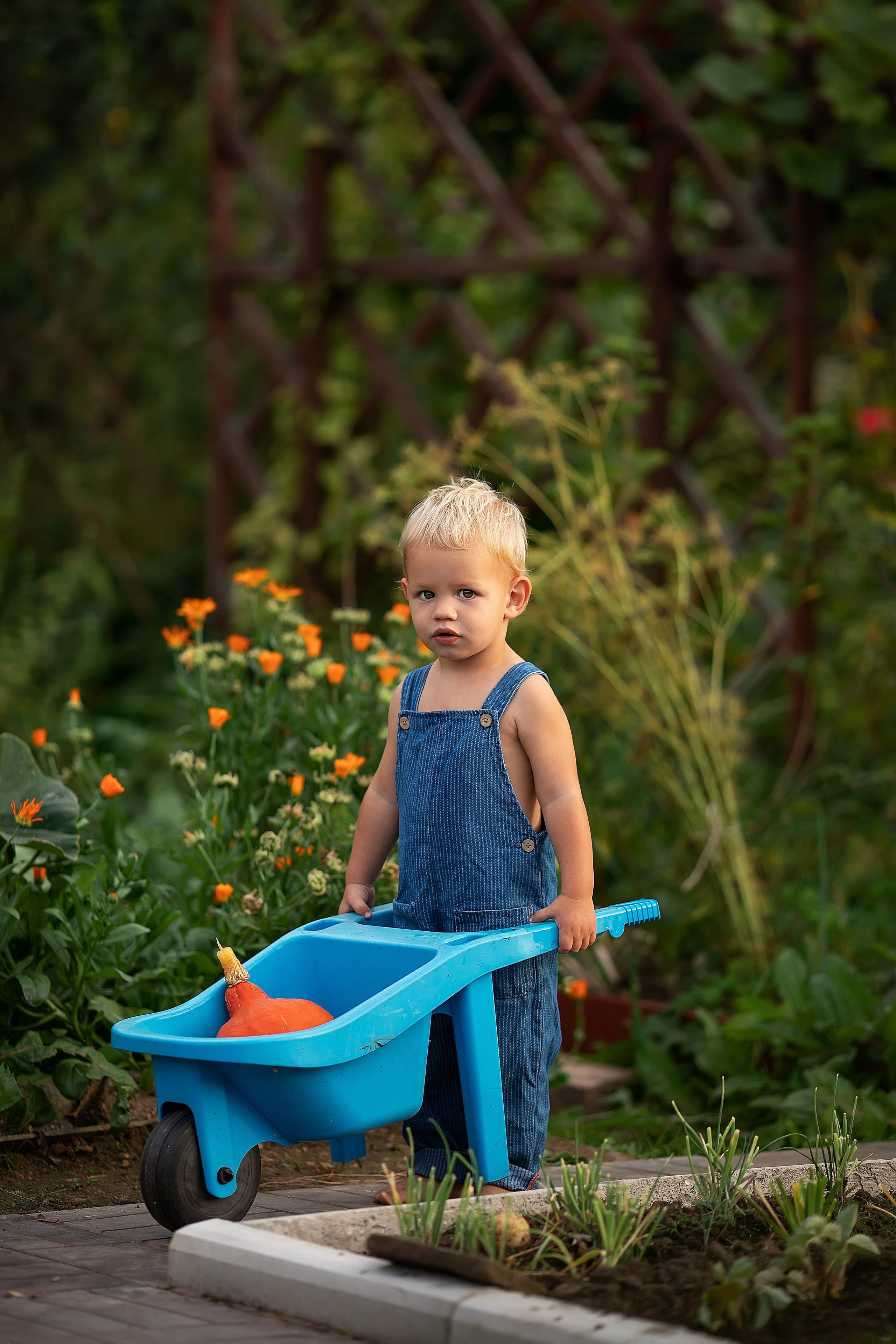 Лето. Главная