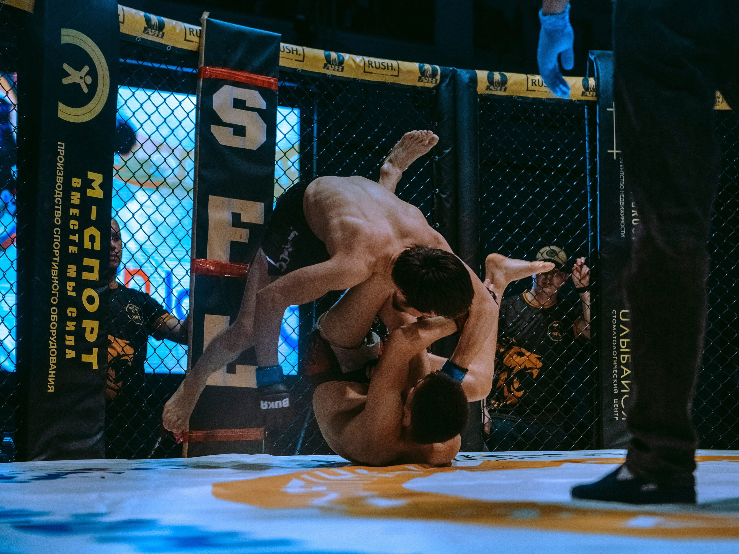 SFL 17 | Siberian Fighting League. Портретный фотограф в Москве Дарья Цезария