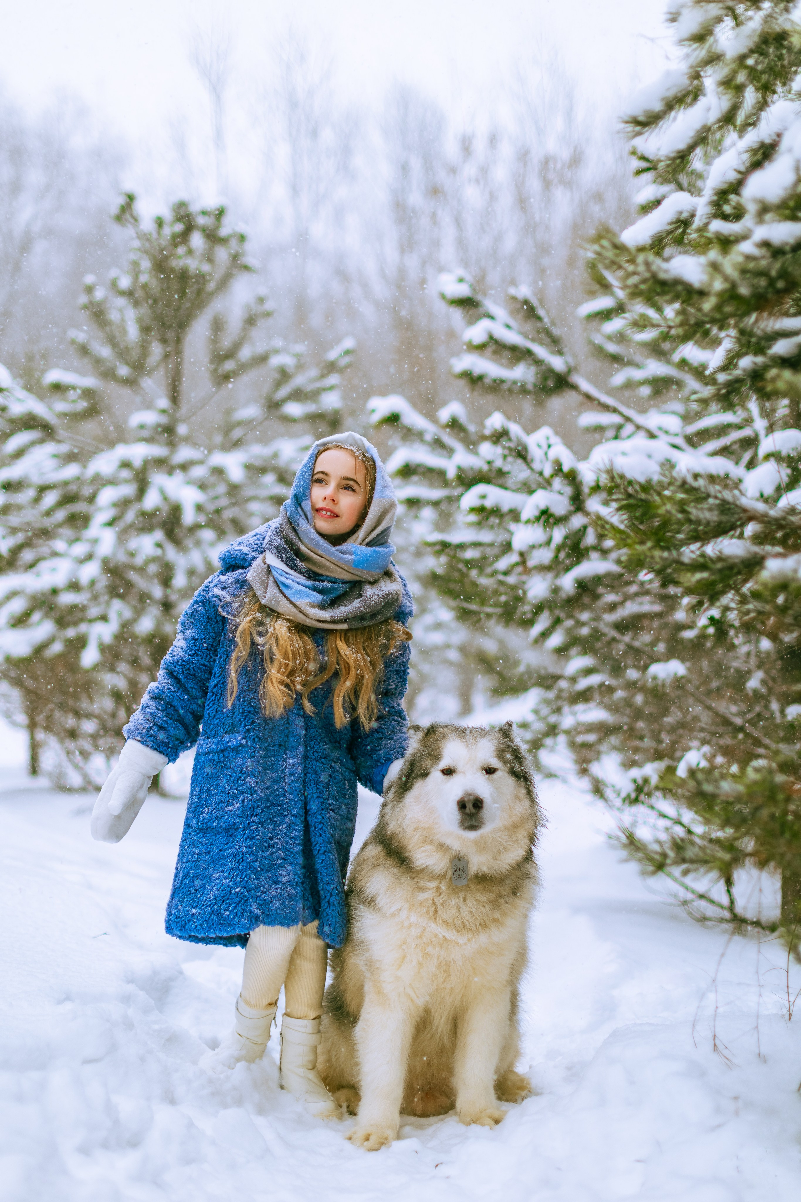 София и аляскинский маламут. Фото и видео Москва, Московский. Свадебный фотограф, видеограф, фотосессии, видеосъемка