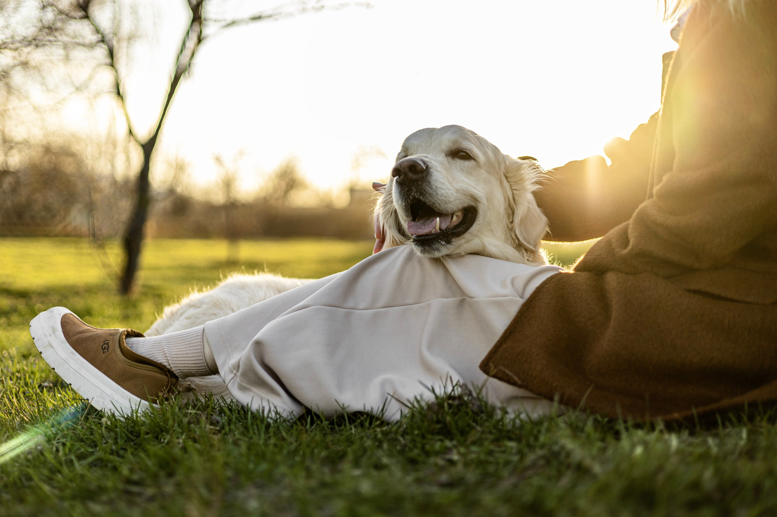 Зиз и Юля. Часть 2. Фотограф-анималист Ксения Шевцова|Москва