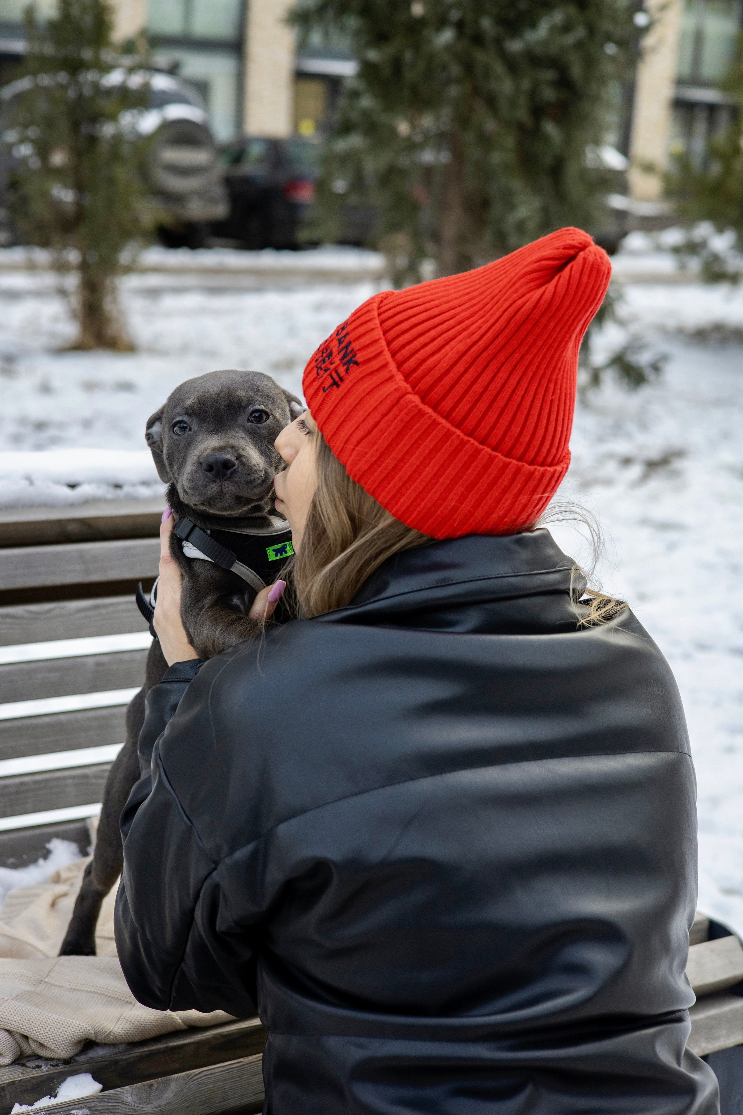 Дарси, Тимур и Юля. Фотограф-анималист Ксения Шевцова|Москва