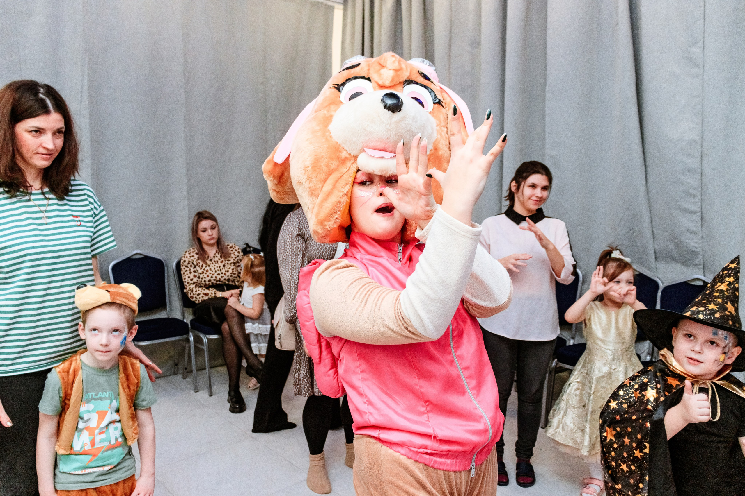 Знайка. Щенячий новый год. Фотограф — Новосибирск