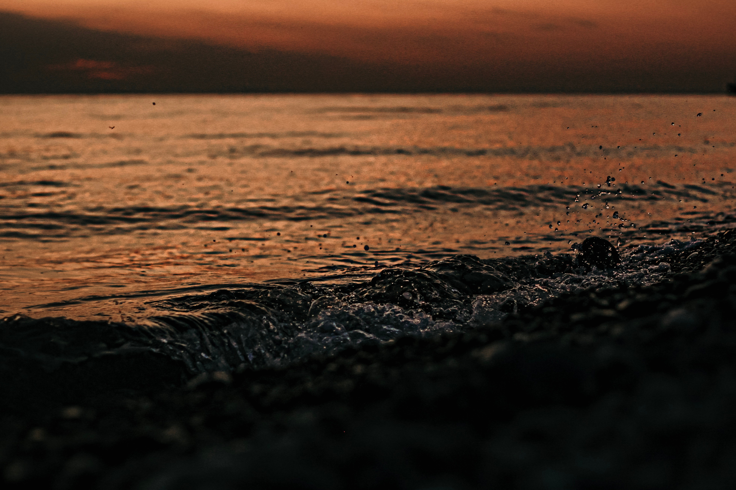 Валерия и Руслан. Фотограф — Москва