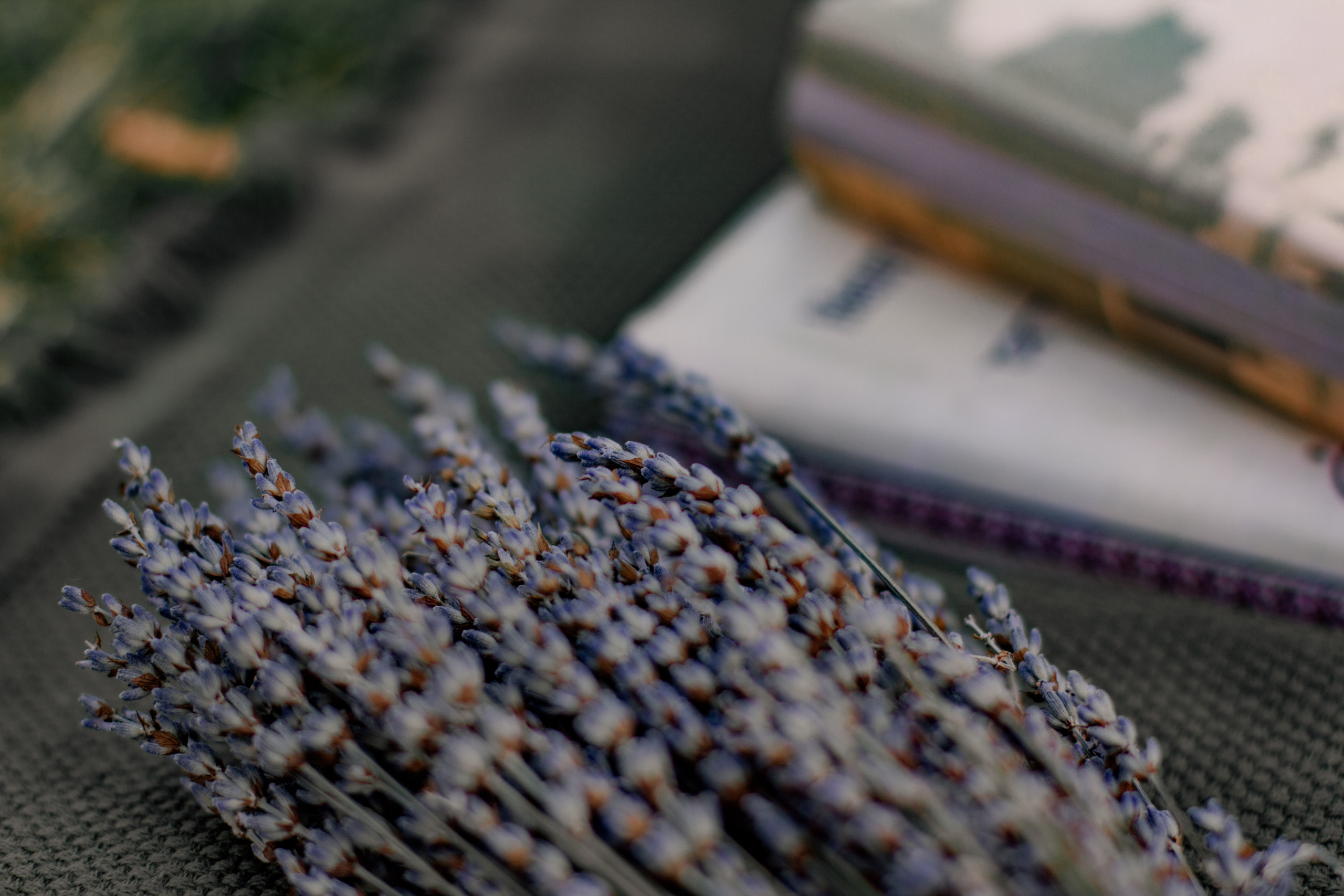 Punzzeca. Фотограф — Москва