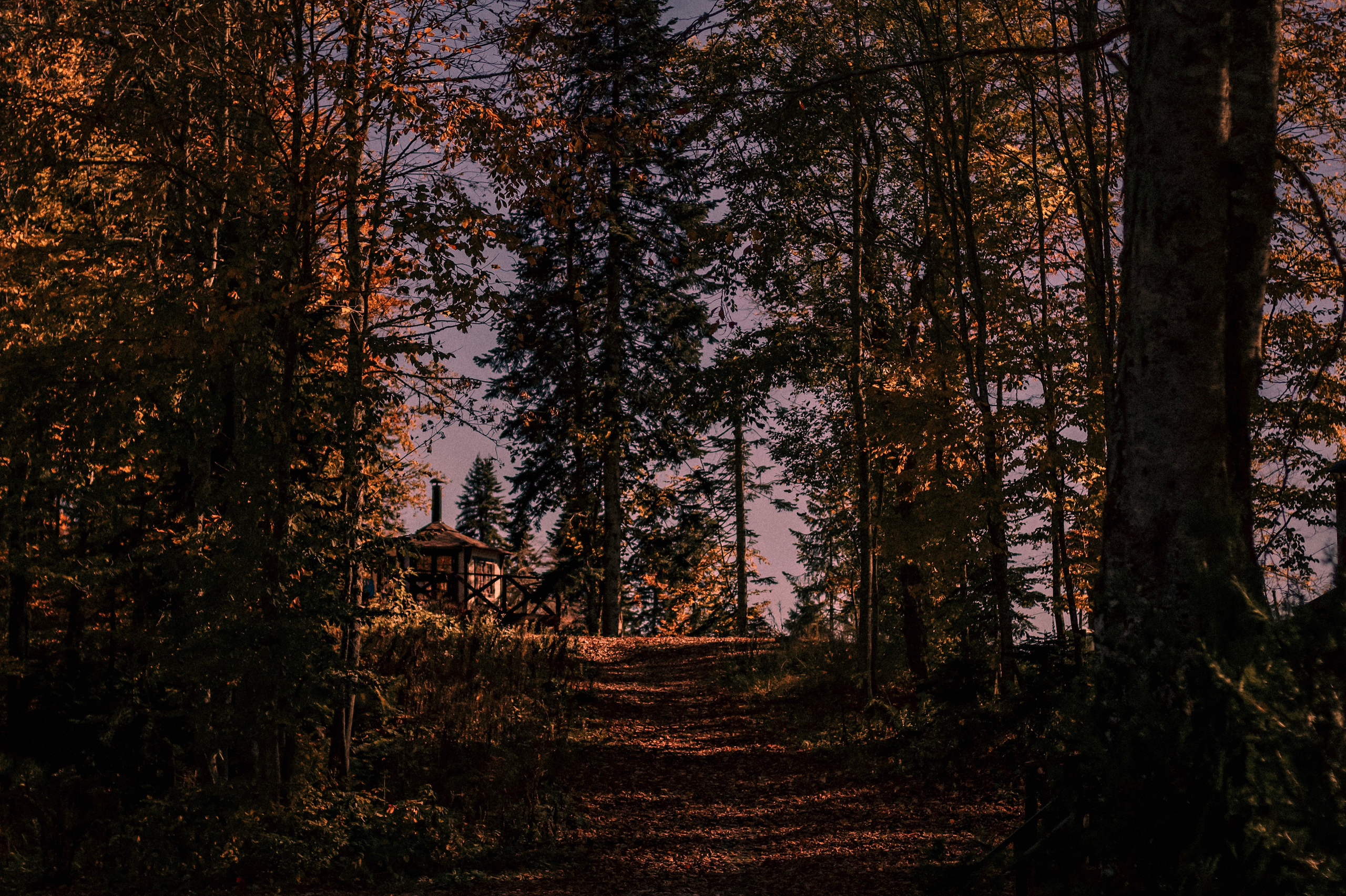 Алиса и Денис. Фотограф — Москва