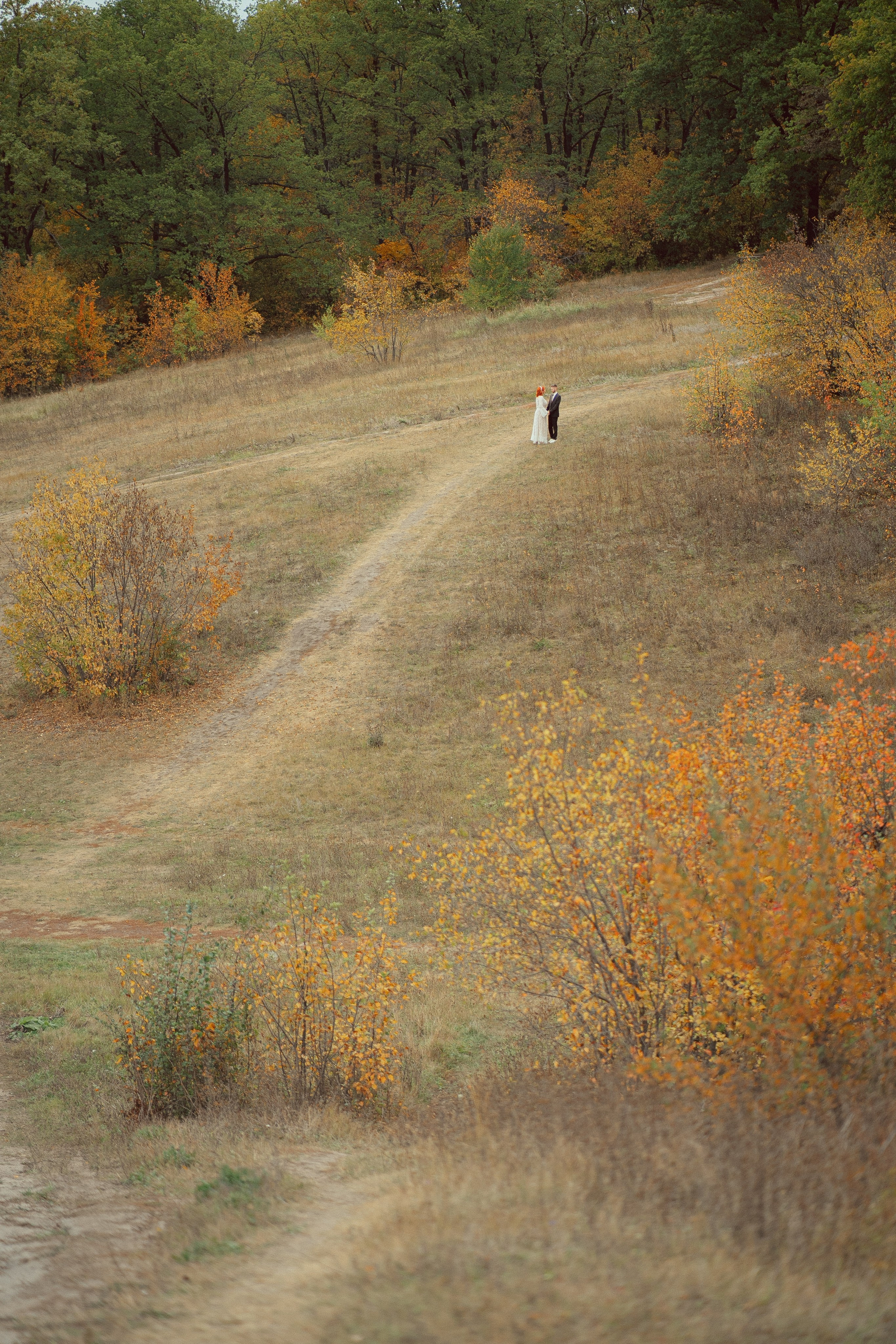 Динамо. Фотограф Мария Зайчик
