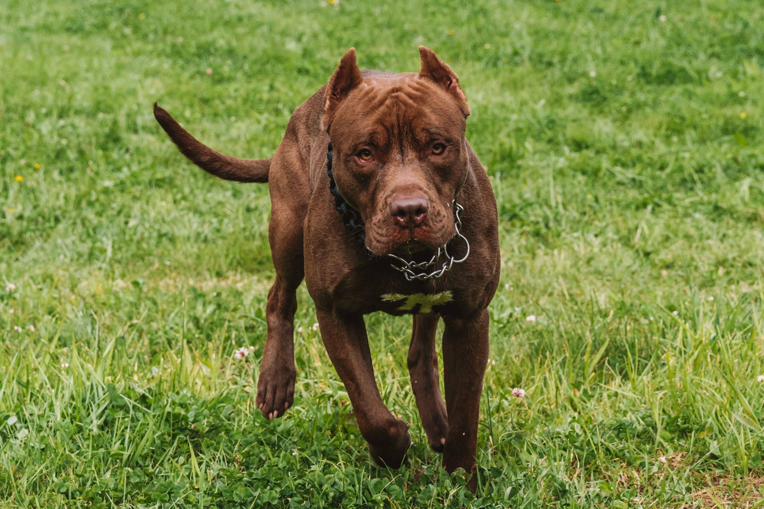 Лав стори фотограф Санкт-Петербург. Свадебный, семейный, портретный, репортажный фотограф в Санкт-Петербурге