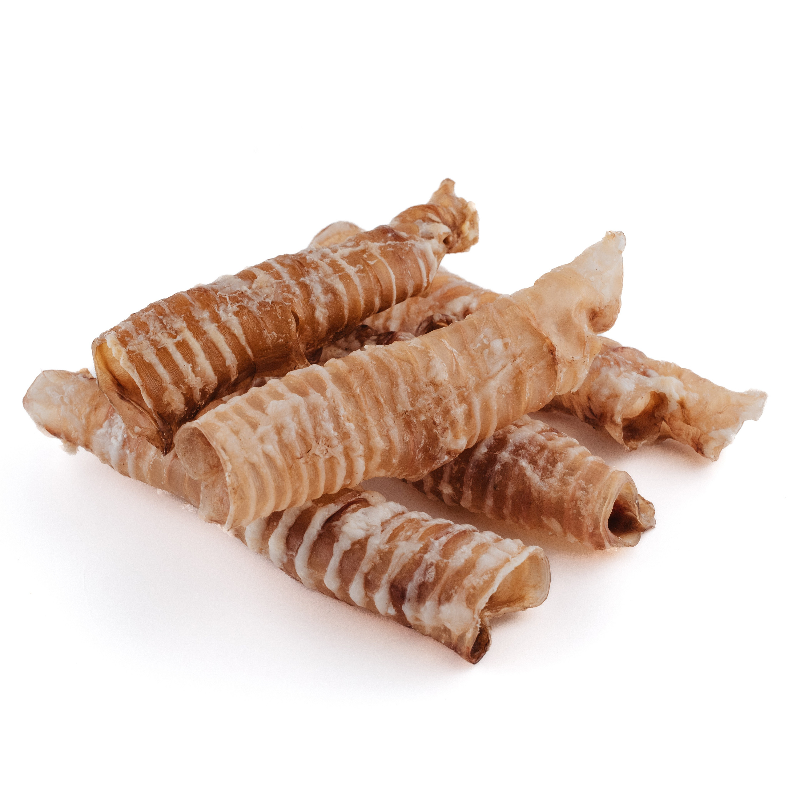 Dog Bone лакомства. Фотограф-анималист Валерия, Москва, Мытищи