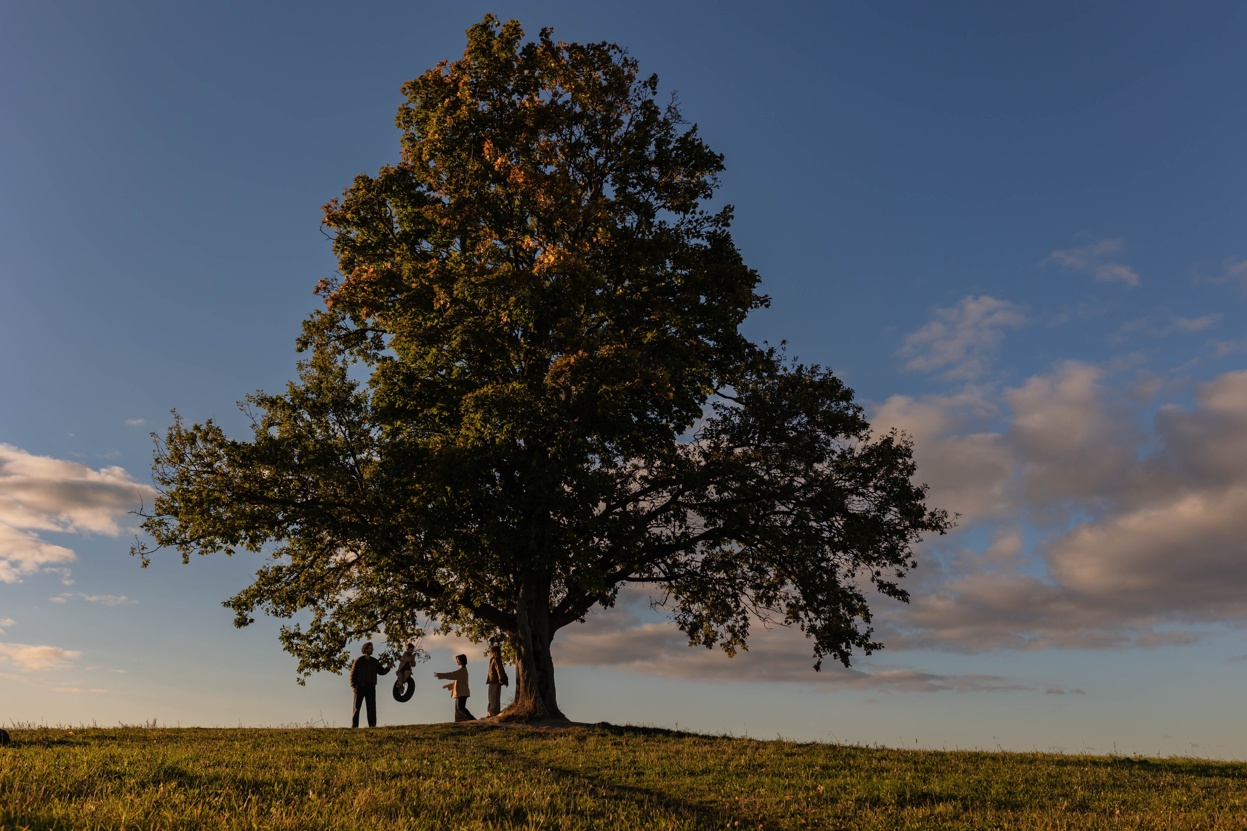 Дуб и клён. Семейный фотограф в Санкт-Петербурге Любовь Савкина