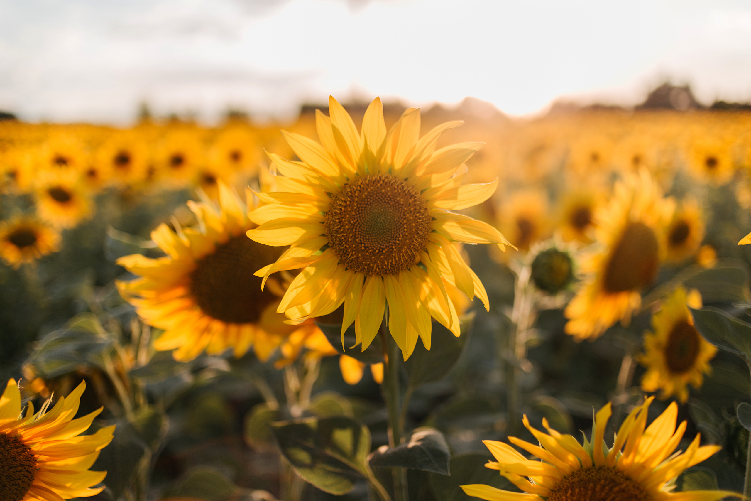 Мама-самое дорогое, что у нас есть!. Семейный и свадебный фотограф в Белгороде Анастасия Ковалёва