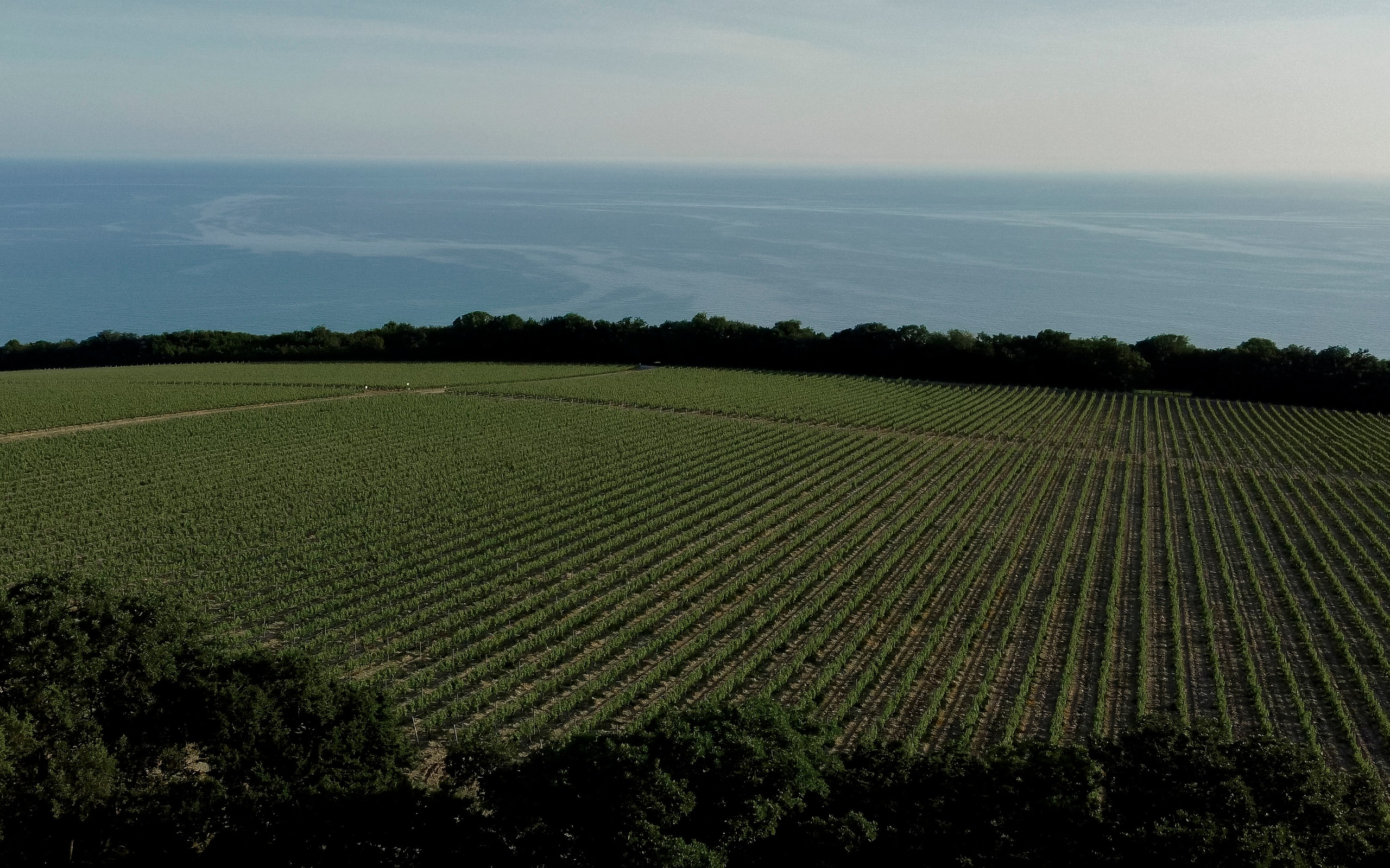 Все без тебя не-так! (Ариша & Дима). Wed Photographers 📷 Saint Petersburg