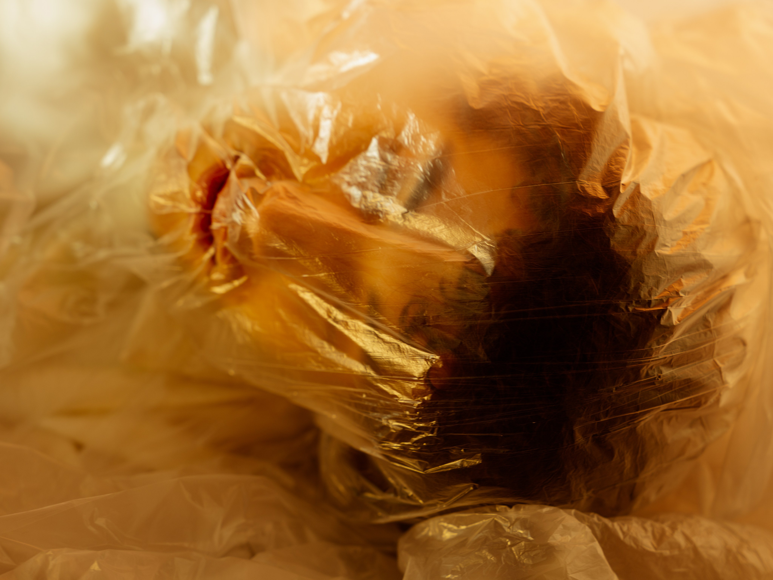 Иммерсивная. Свадебный фотограф Виктория Роса