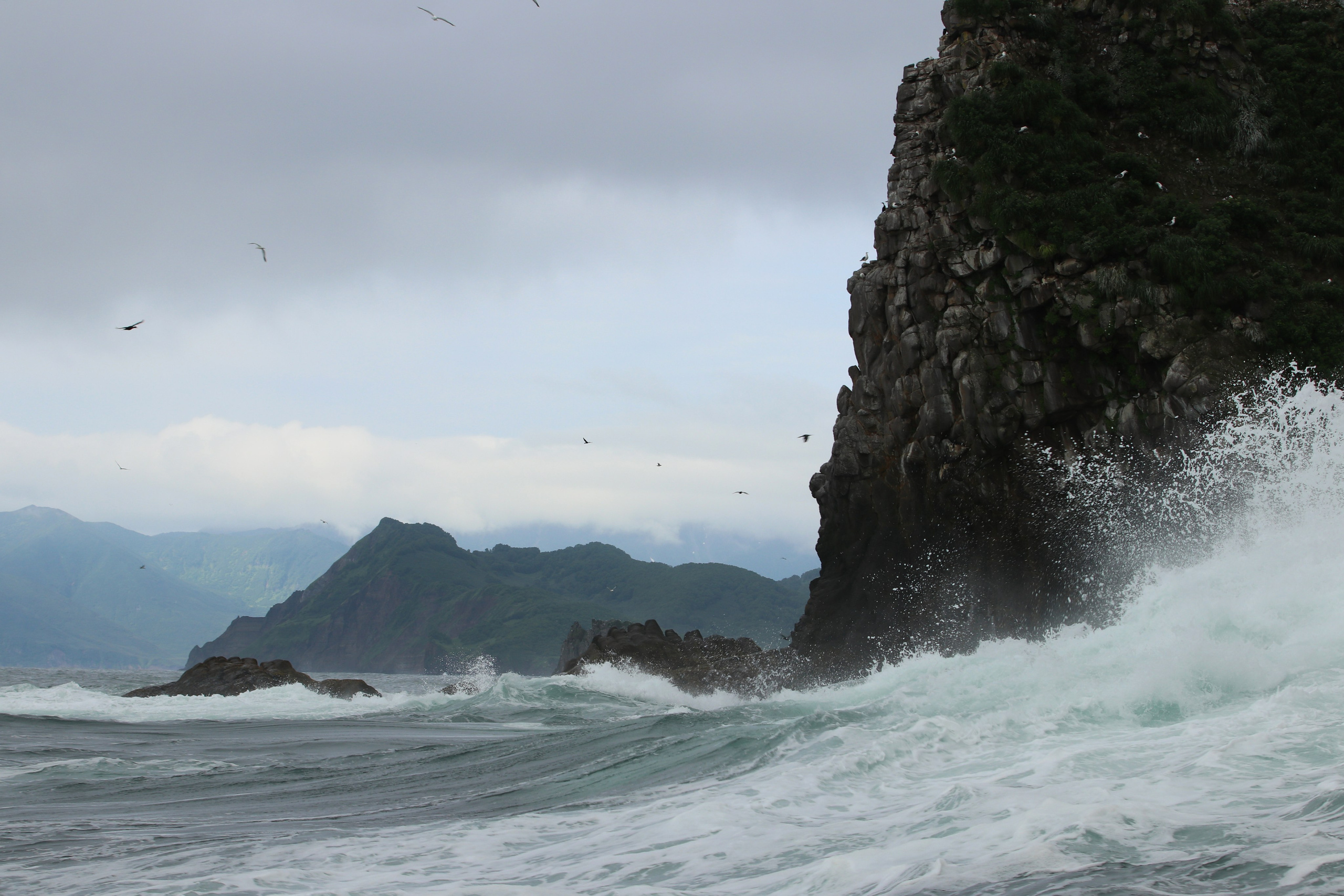 Камчатка и о. Парамушир. Июль 2024. Путешественник-фотограф из Санкт-Петербурга Татьяна Свистулина
