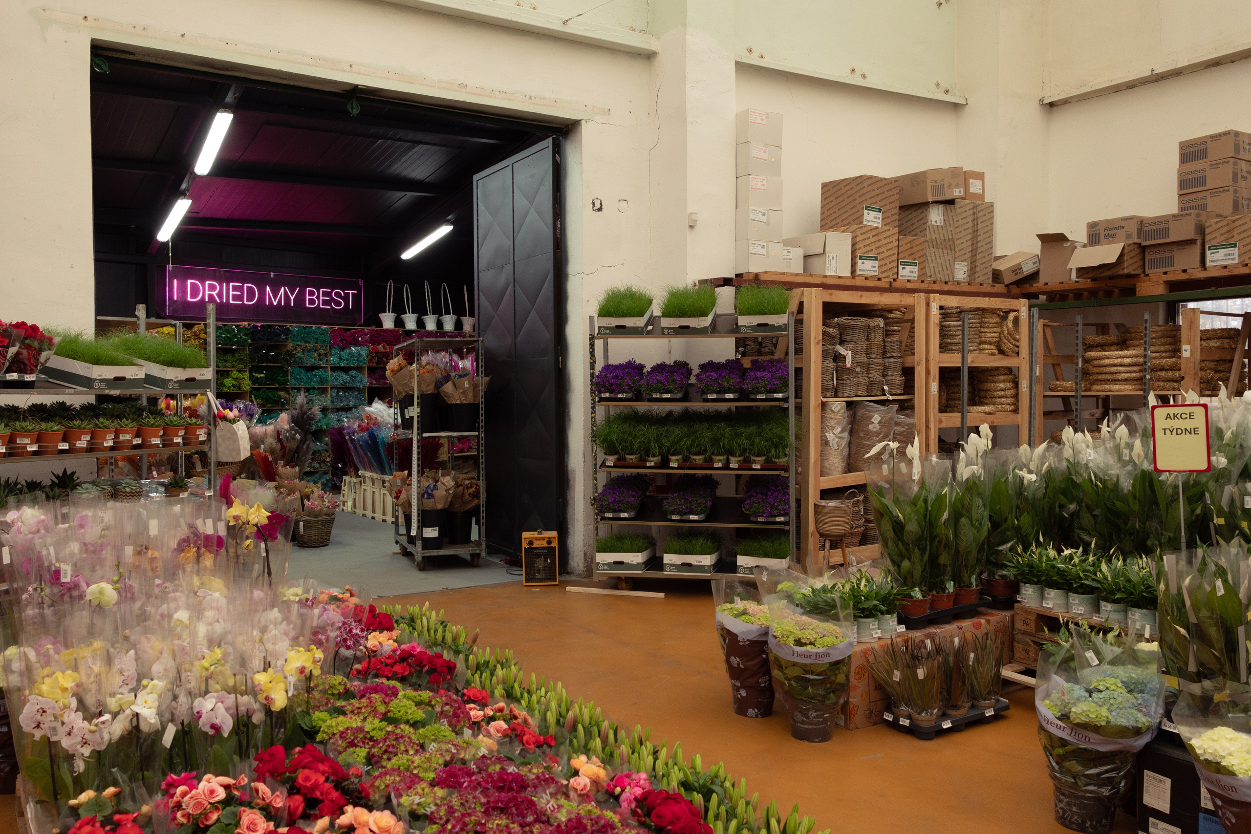 Flower warehouse. Фотограф Дарья Карпенко