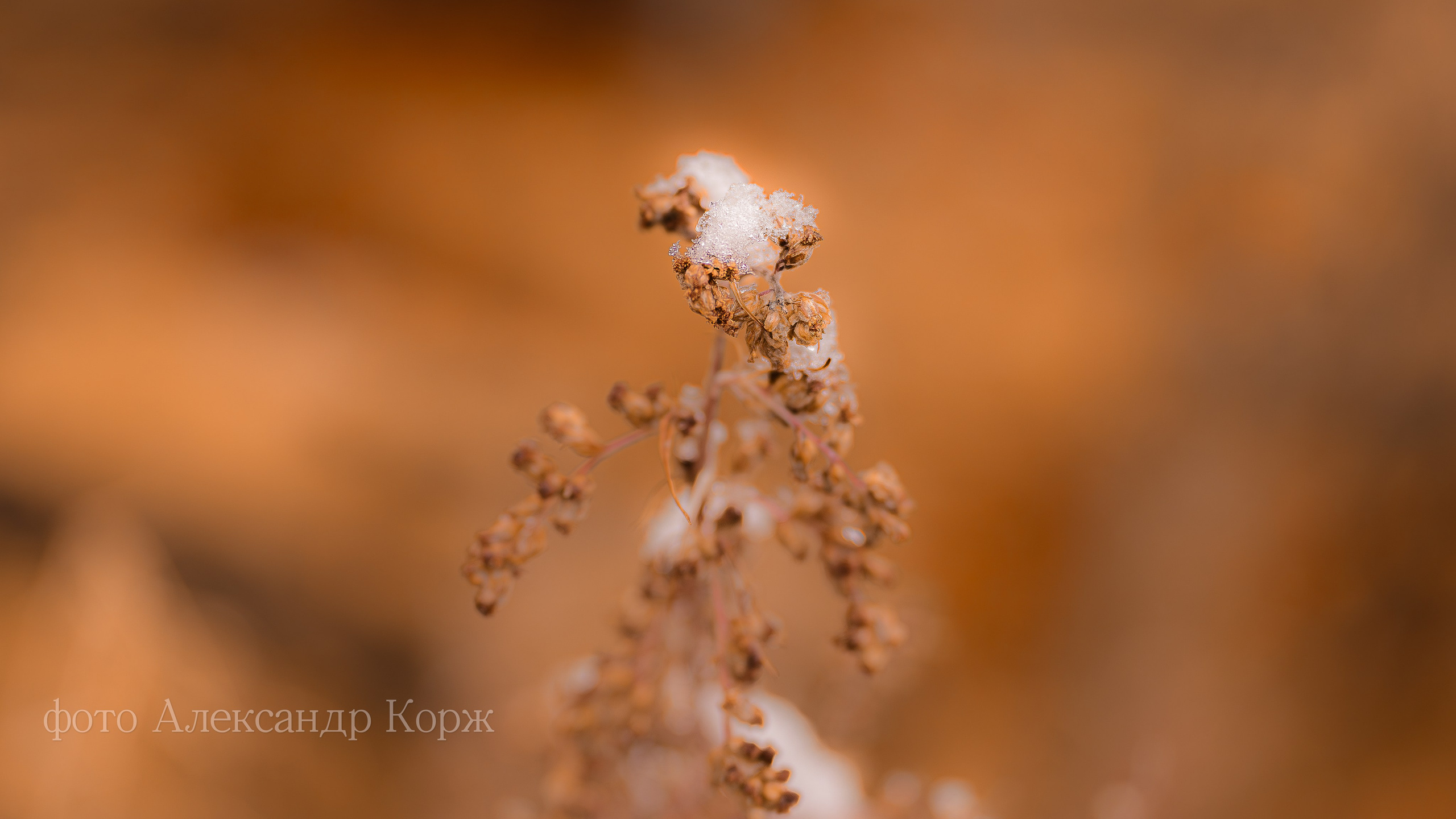 Золотая осень 2025. Айхал. Удачный. Мирный Якутия. Фотографии и видеосъемка, Айхал, Удачный, Якутия. Фотографии Айхал