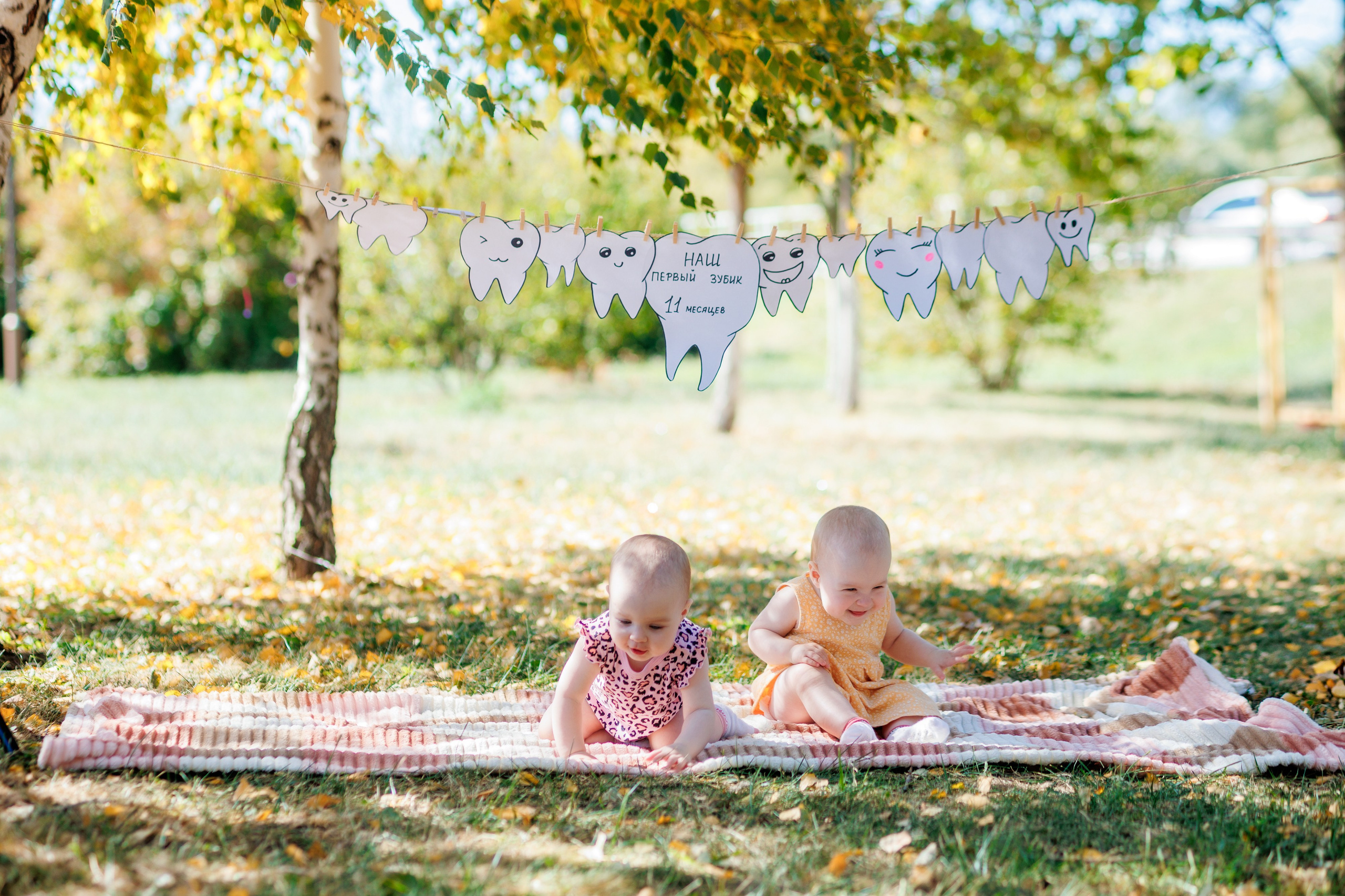 Первый зубик. Свадебный и семейный фотограф в Армавире