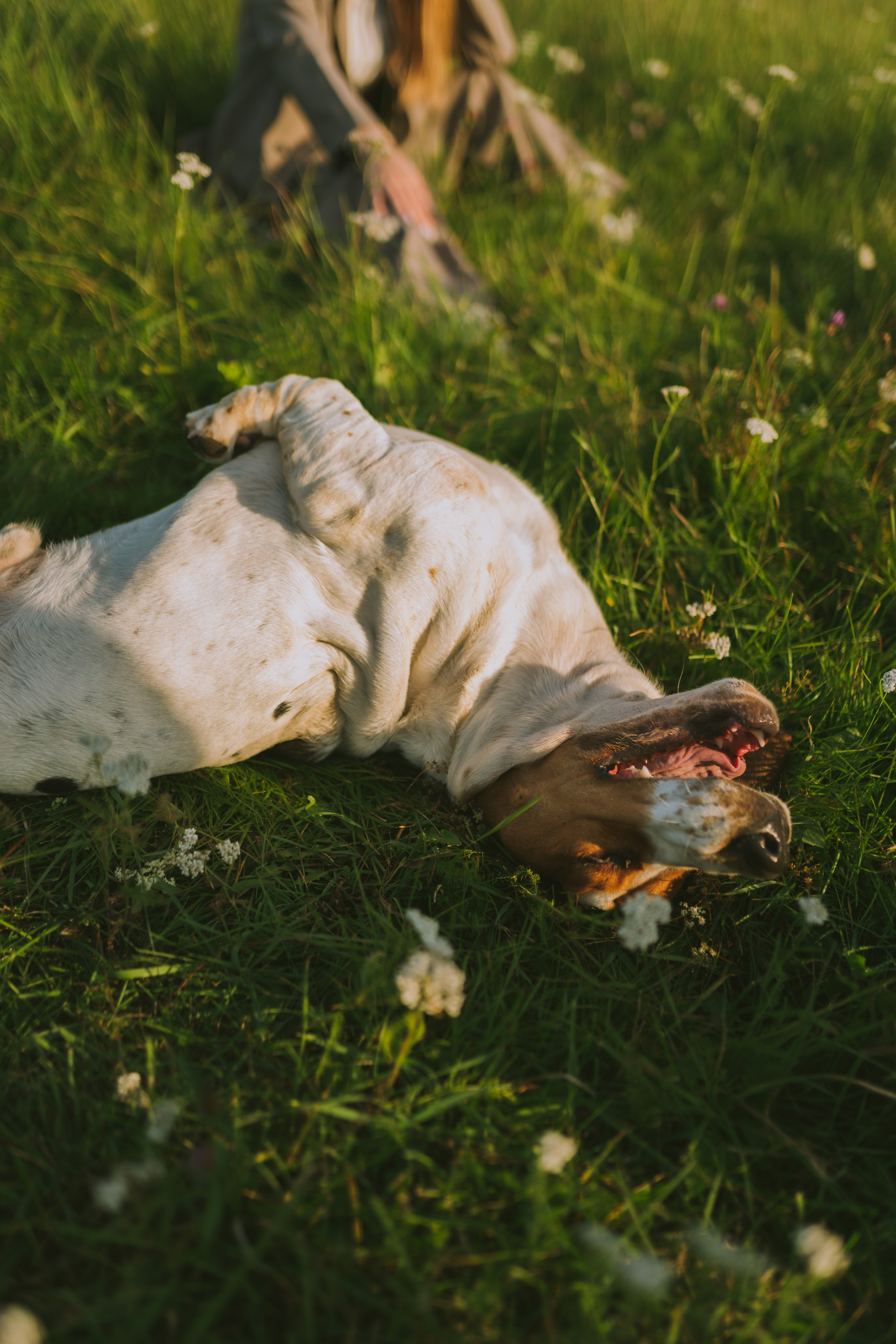 Александра. Фотограф Торопец Кристина Абрамова Kanwellia photography