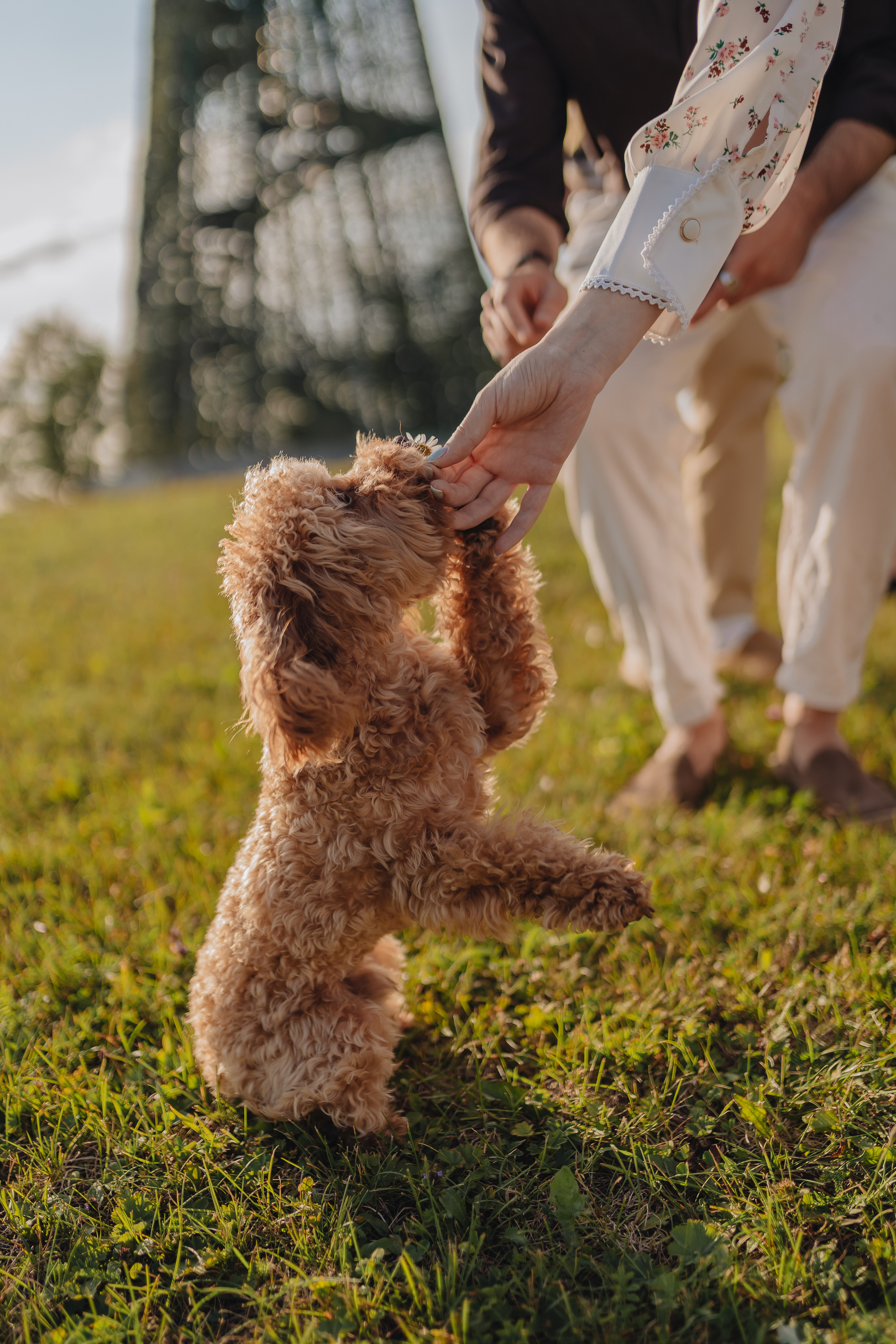 Веселая компания. Фотограф Торопец Кристина Абрамова Kanwellia photography