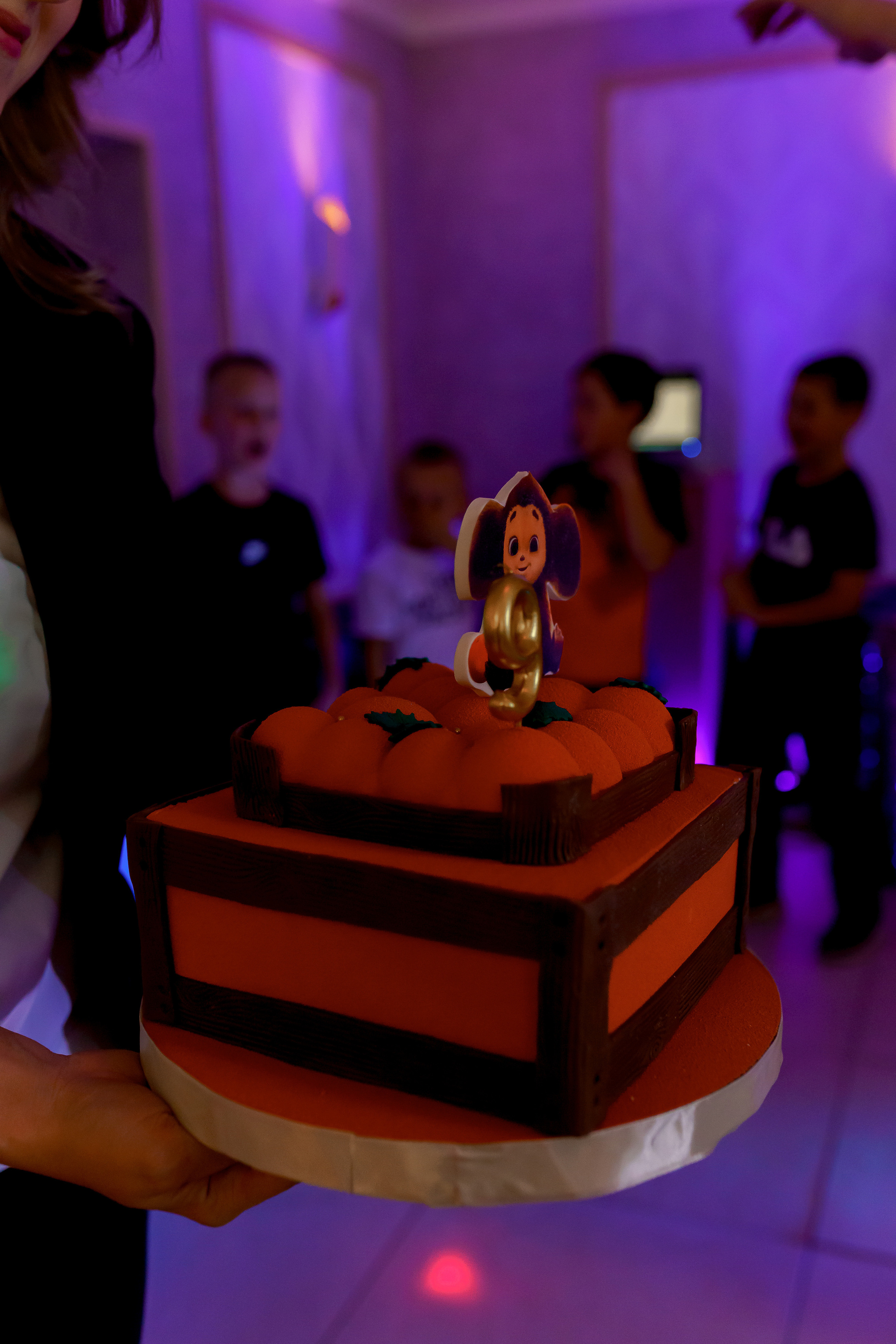 День рождения Лизы. Фотограф Торопец Кристина Абрамова Kanwellia photography