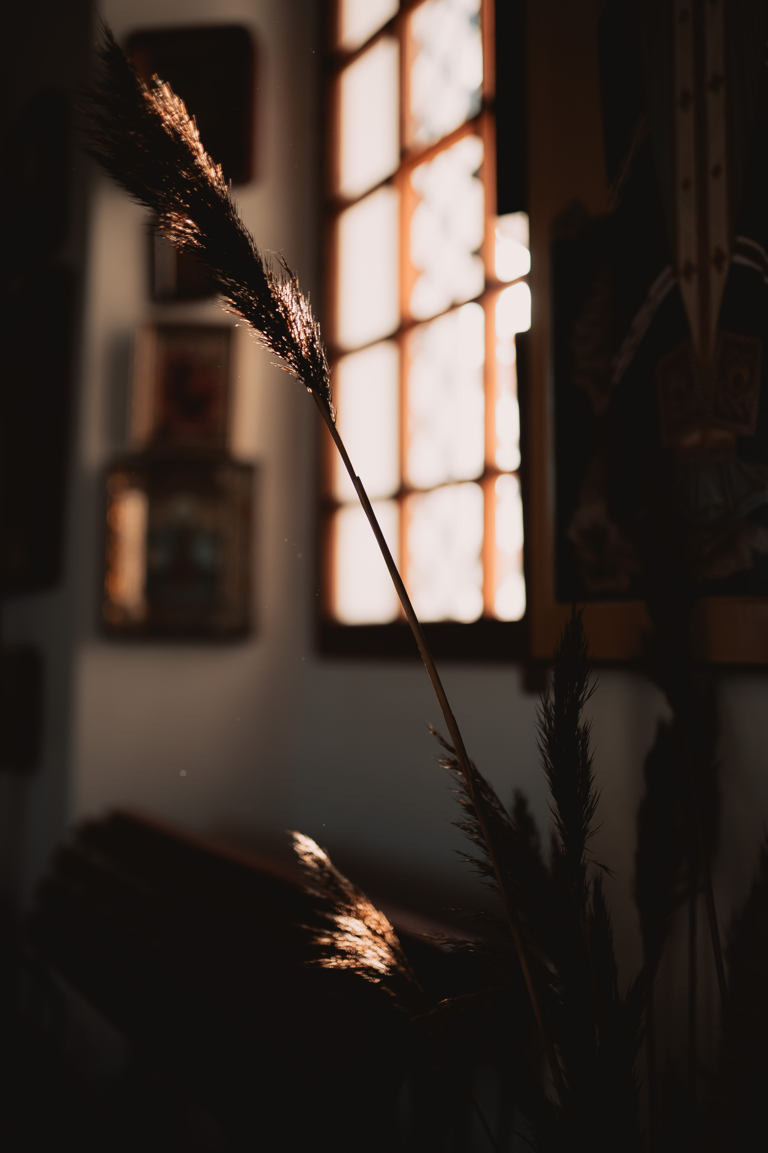 Татьяна. Фотограф Торопец Кристина Абрамова Kanwellia photography