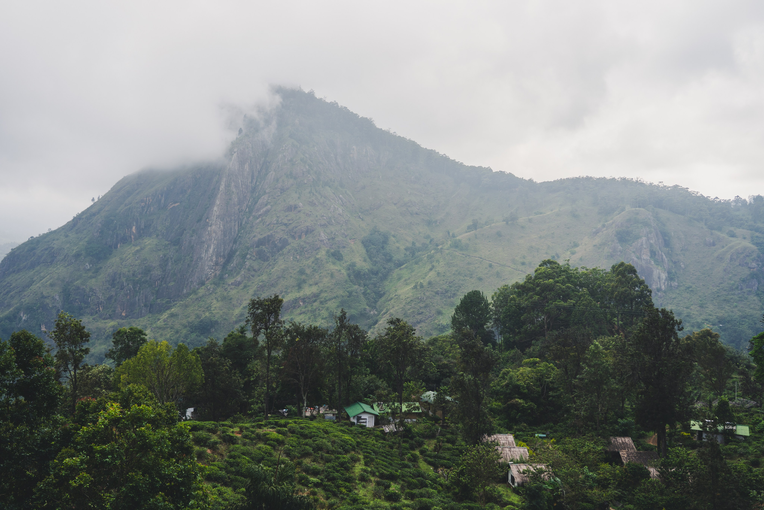 Шри-Ланка 2025. Легкая фотография