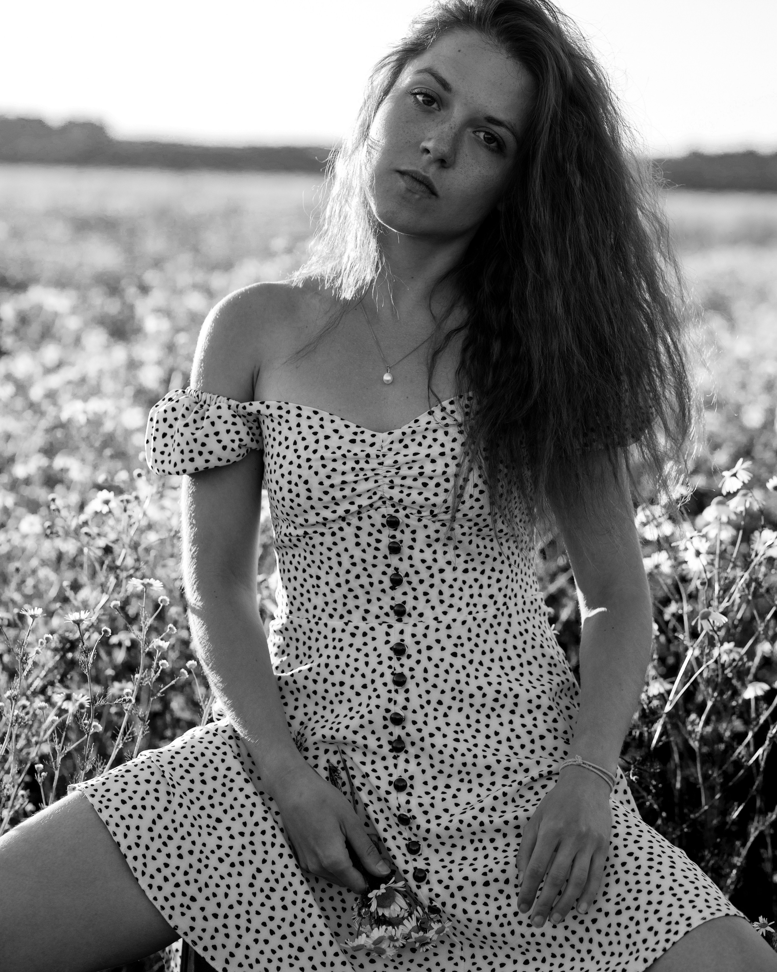 ЧБ ромашки. Портретный фотограф Екатерина Лысенко, Москва