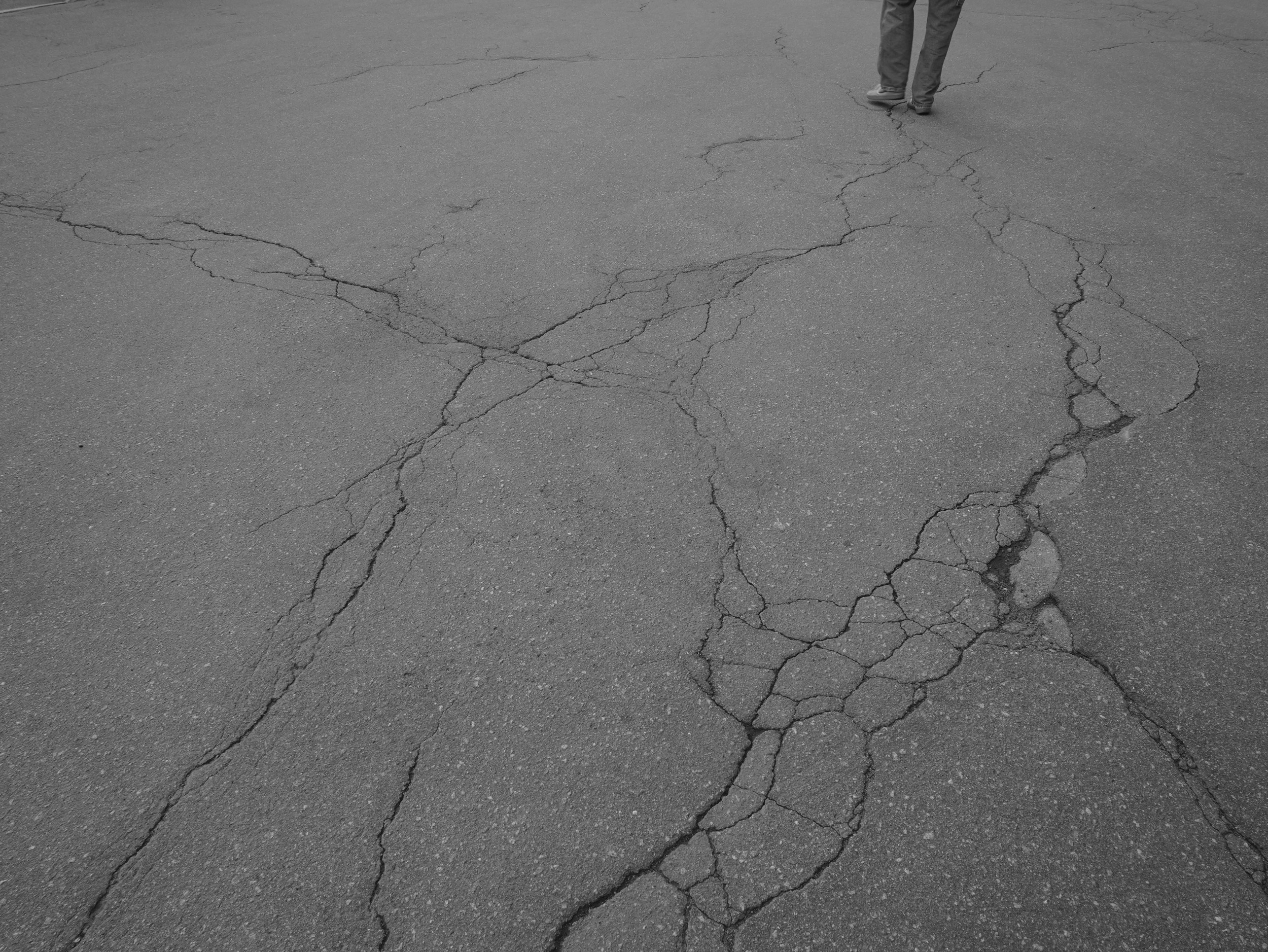 Фотографии. Главная